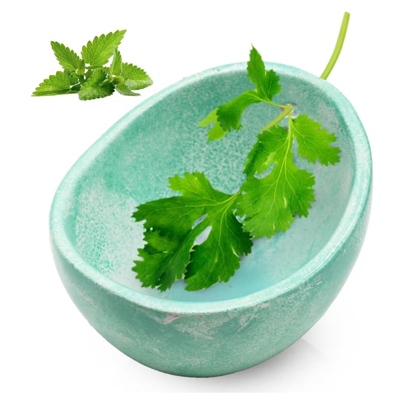 Tazón de Cerámica Deshojador de Hierbas Rimigood 230g