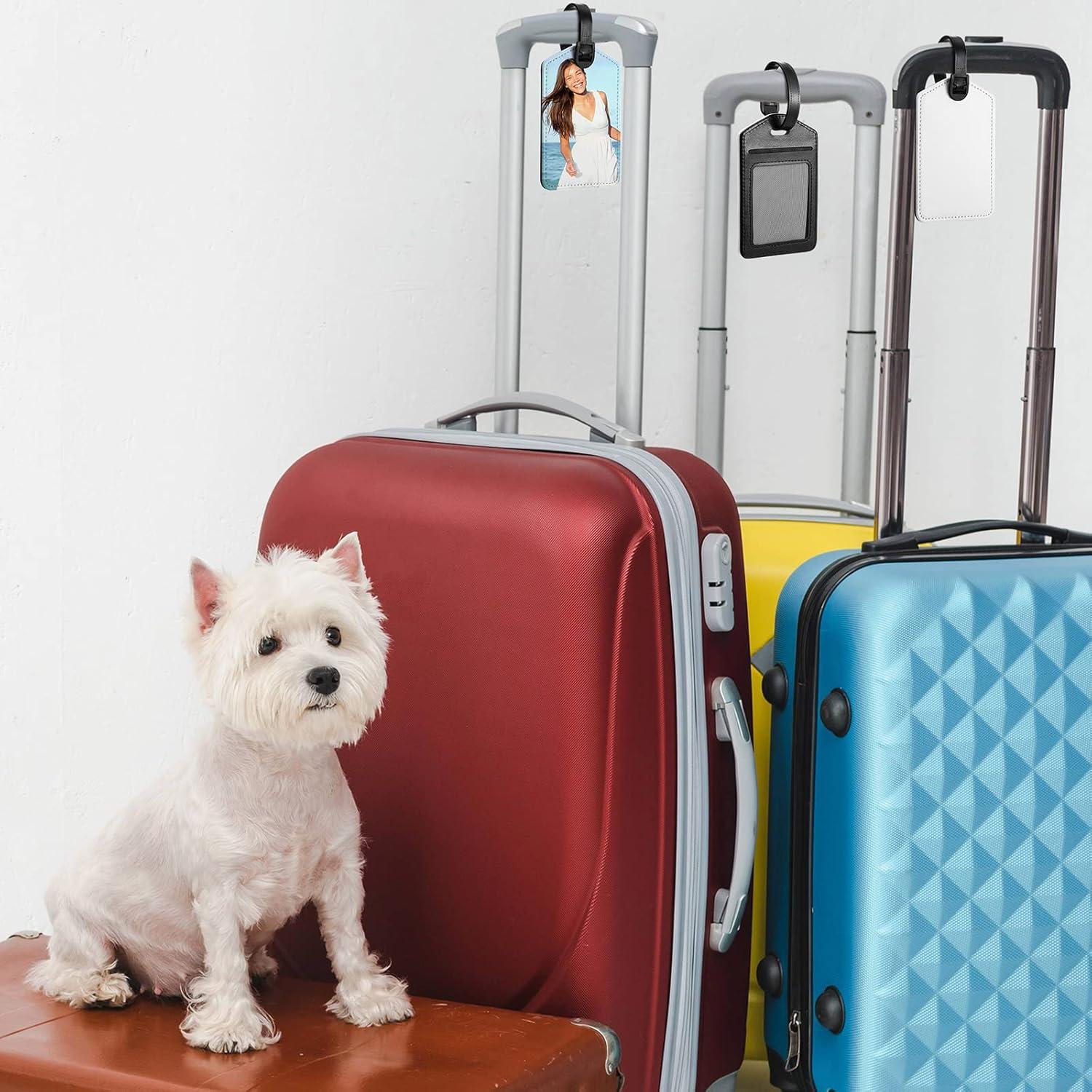 Etiquetas de Equipaje de Sublimación Hillban - 10 Pcs Cuero PU Blanco