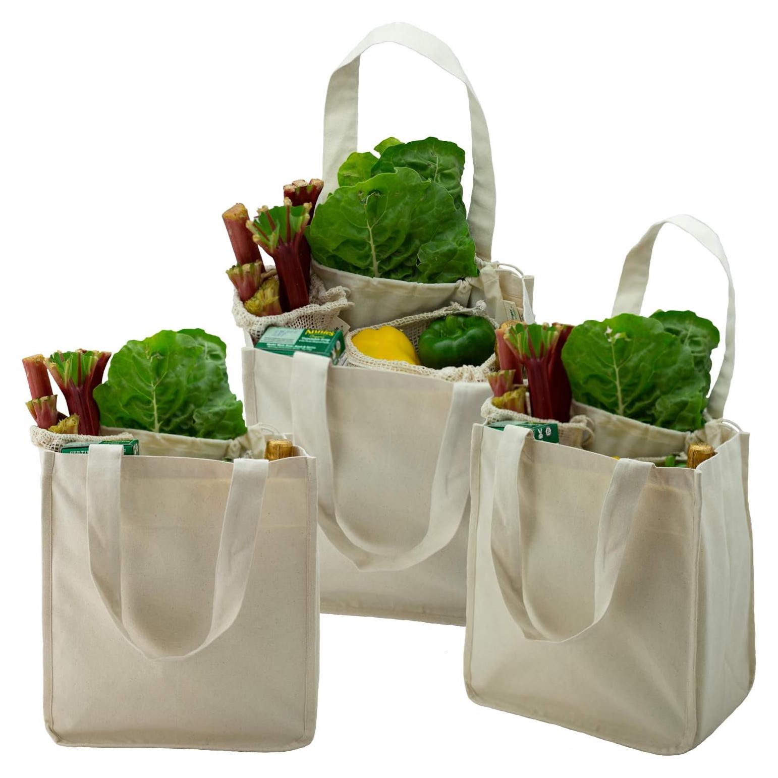 Bolsa de Compras Reutilizable Simple Ecology Algodón Orgánico 38x30.5cm