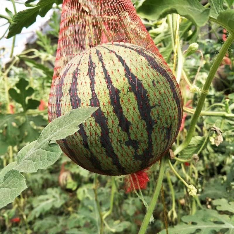 Paquete de 50 redes para sandía ANPTGHT de nylon reutilizables