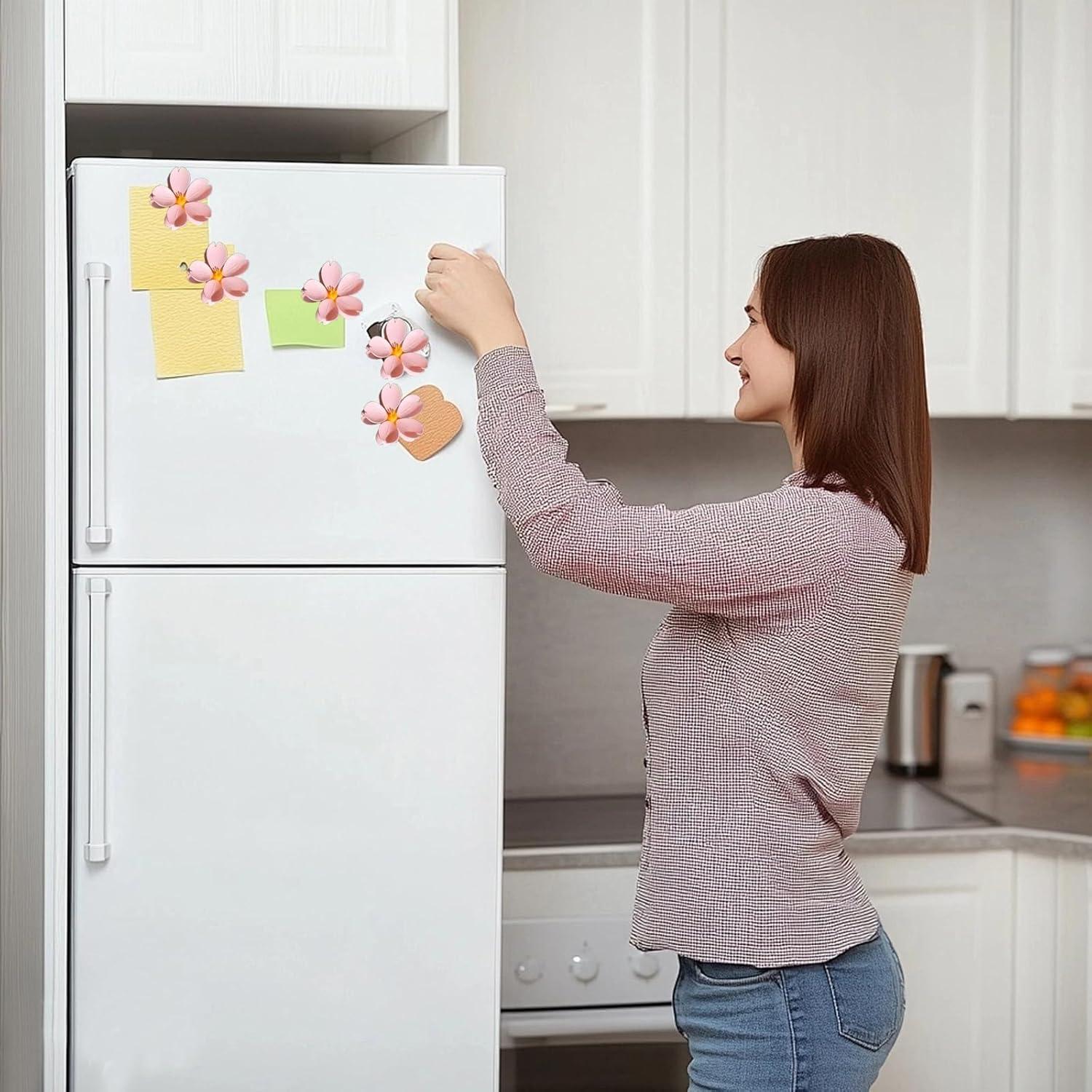 Juego de Clips Magnéticos de Flores Genérico - 10 Pétalos Decorativos