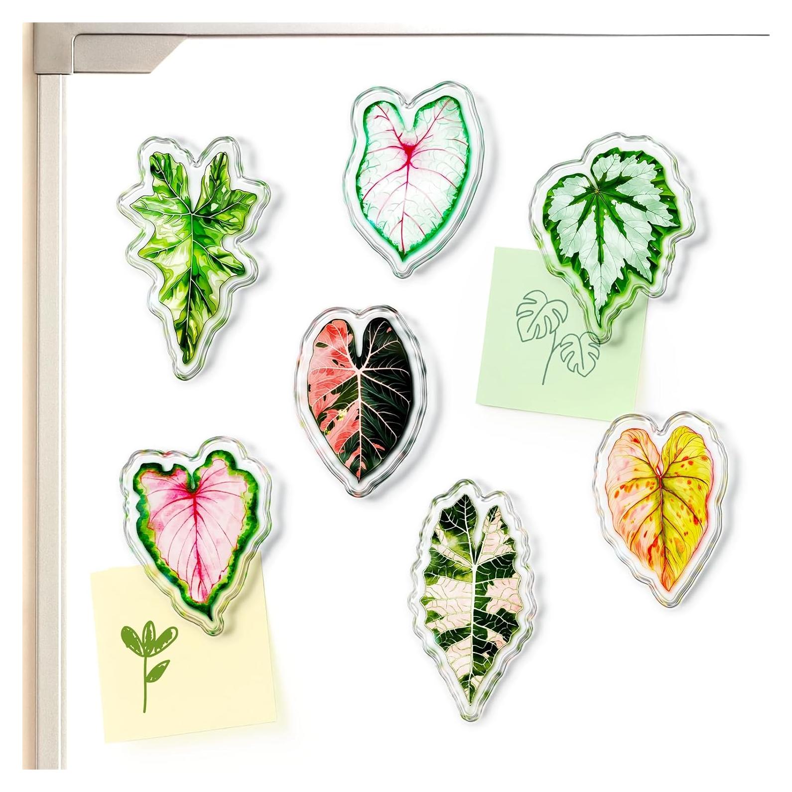 Clips Magnéticos de Hoja Nuvretk - 7 Pack Decorativos para Nevera