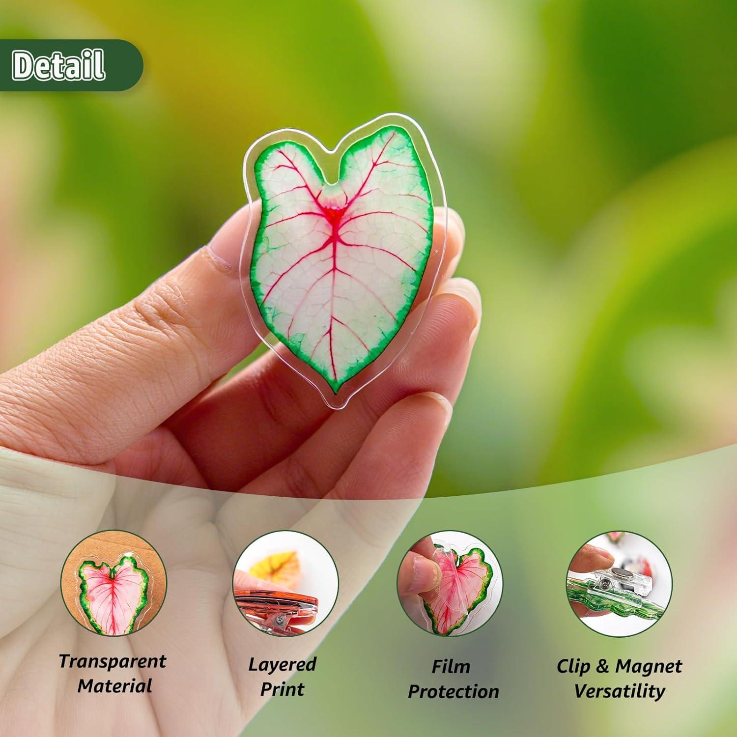 Clips Magnéticos de Hoja Nuvretk - 7 Pack Decorativos para Nevera