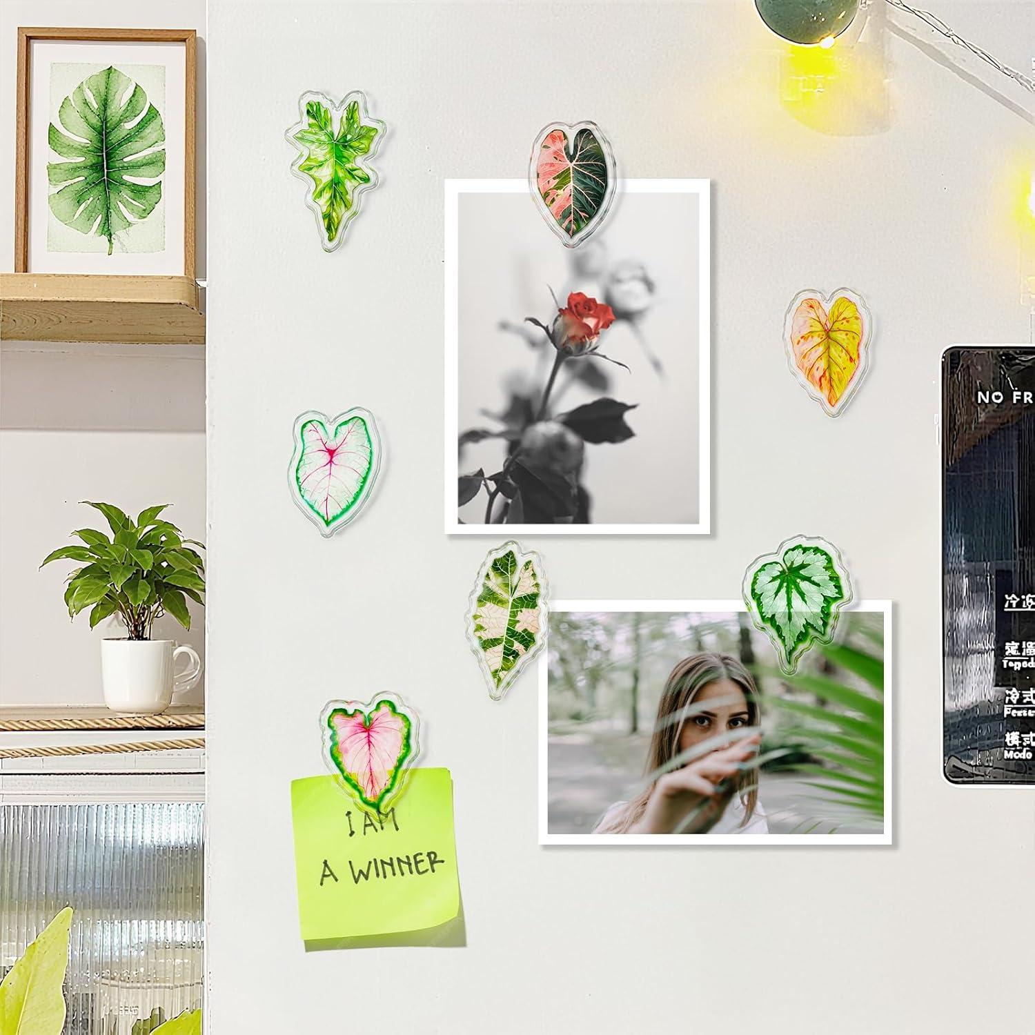 Clips Magnéticos de Hoja Nuvretk - 7 Pack Decorativos para Nevera