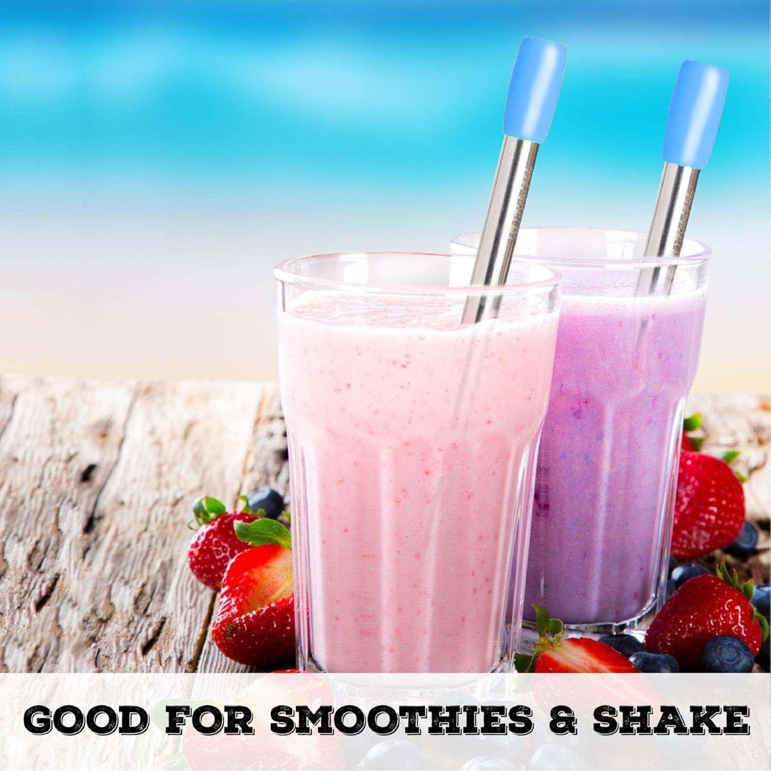 Popotes Reutilizables de Acero Inoxidable Boba Fide 19 cm con Silicona