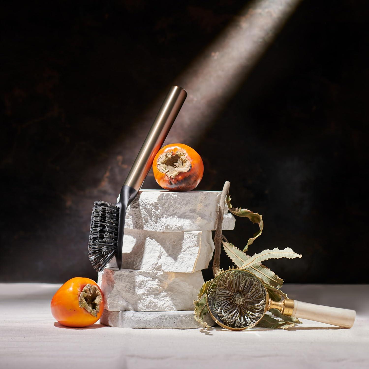 Cepillo de Platos Iónico Magnetizado Acero Inoxidable 27.4cm