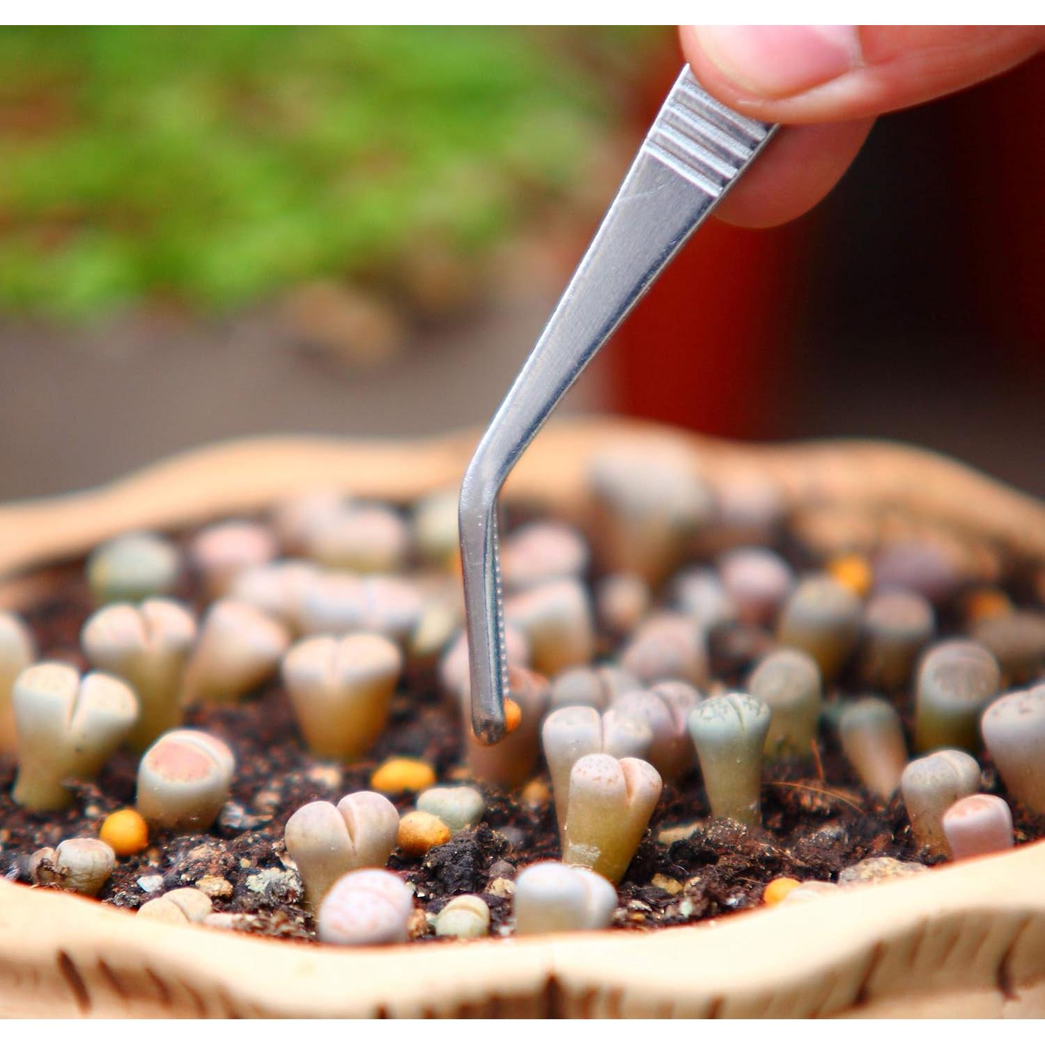 Juego de Pinzas de Acero Inoxidable KMHIGH 3 Piezas 15.6cm