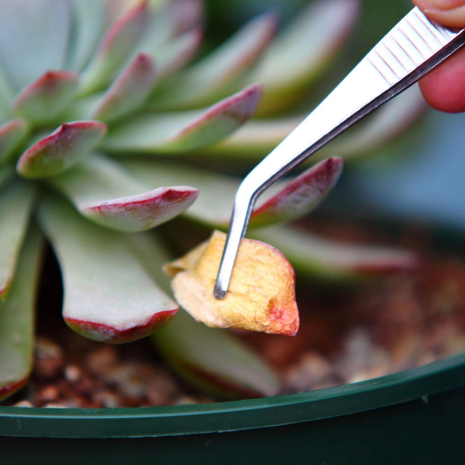 Juego de Pinzas de Acero Inoxidable KMHIGH 3 Piezas 15.6cm