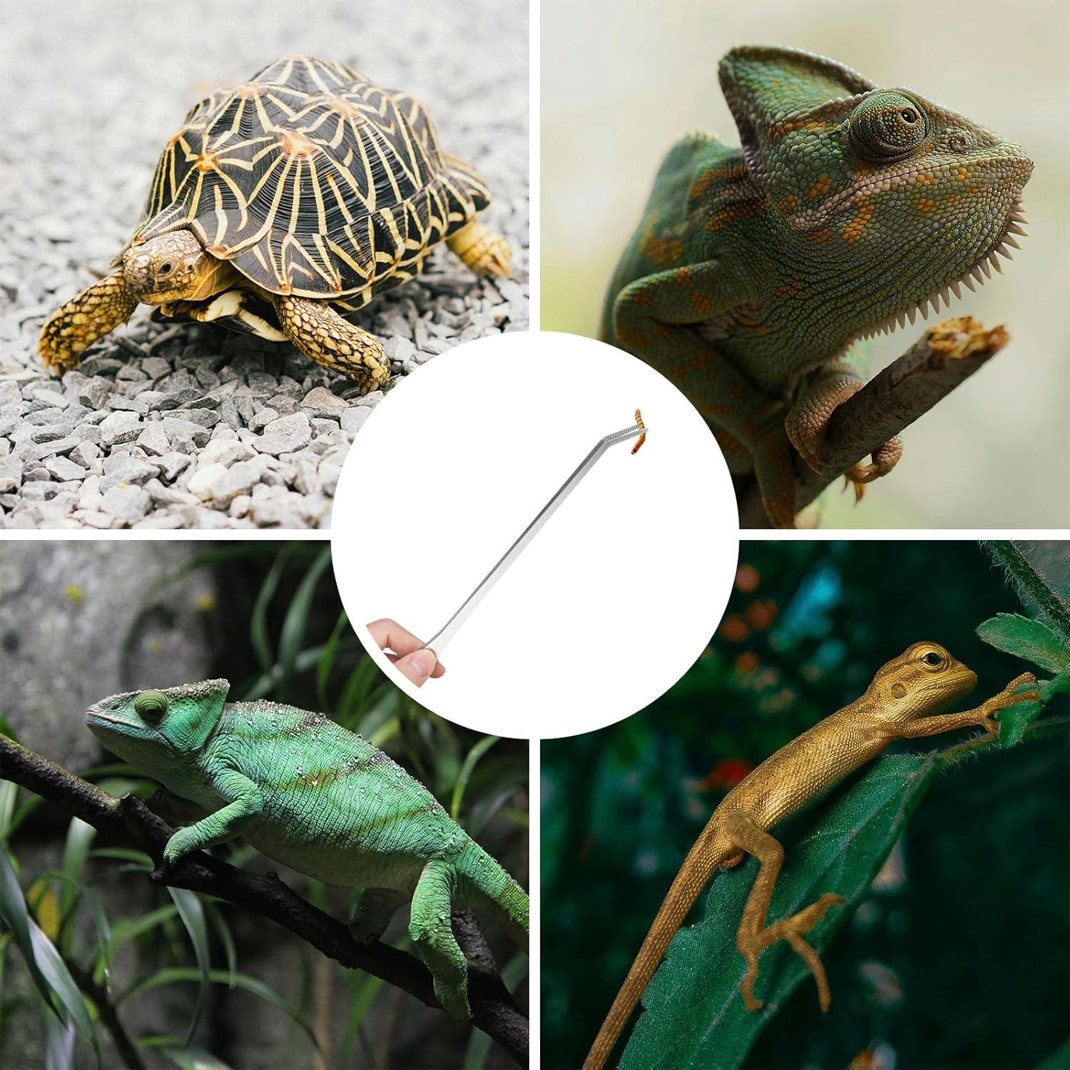 Pinzas Largas Fri4free 27cm Acero Inoxidable para Acuarios