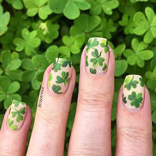 Juego de Pinceles para Arte de Uñas Winstonia 3 Piezas