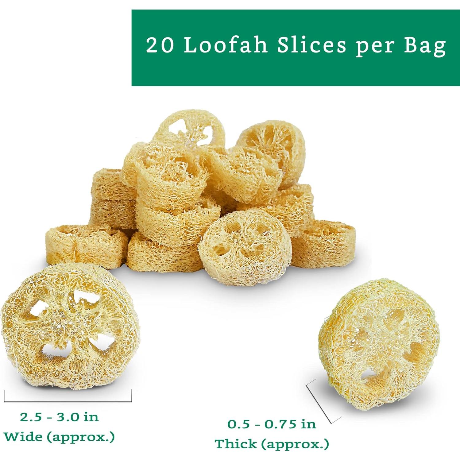 Rodajas de Lufa Natural para Jabón - 20 Piezas - Sostenible