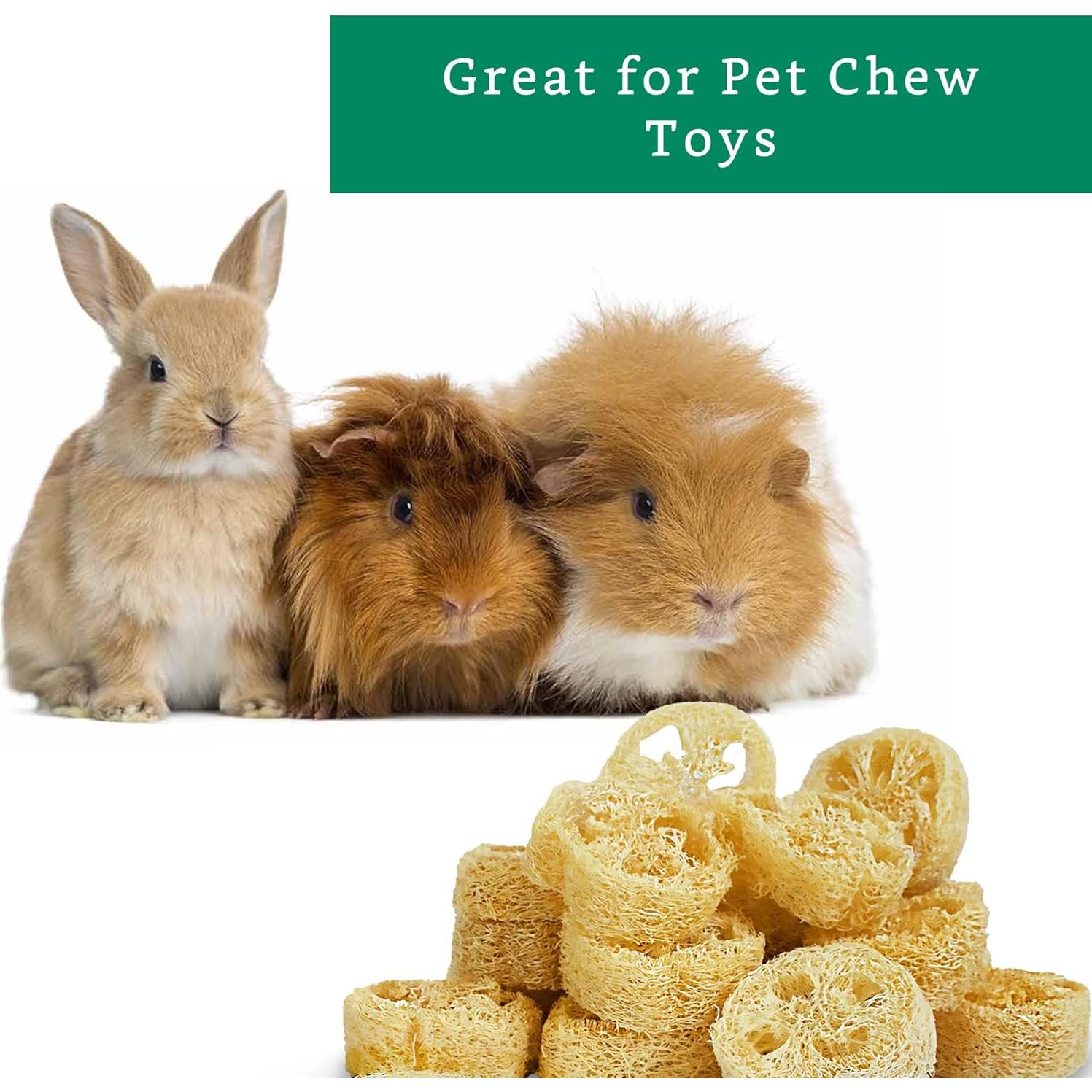 Rodajas de Lufa Natural para Jabón - 20 Piezas - Sostenible