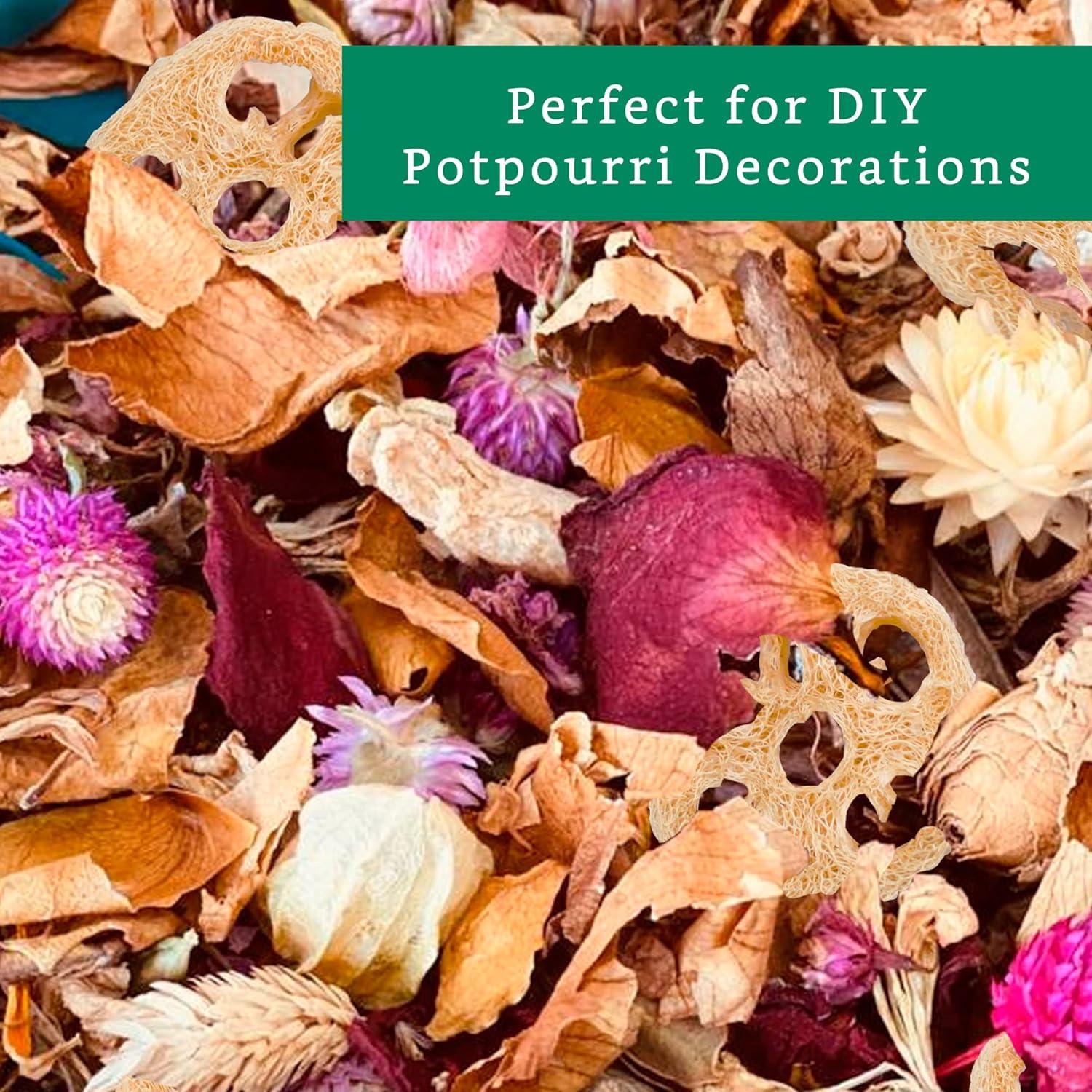 Rodajas de Lufa Natural para Jabón - 20 Piezas - Sostenible