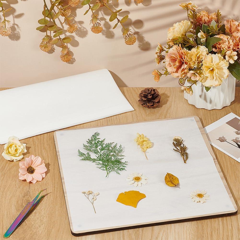 Papel Absorbente para Prensa de Flores BENECREAT 50 Hojas 26.5cm
