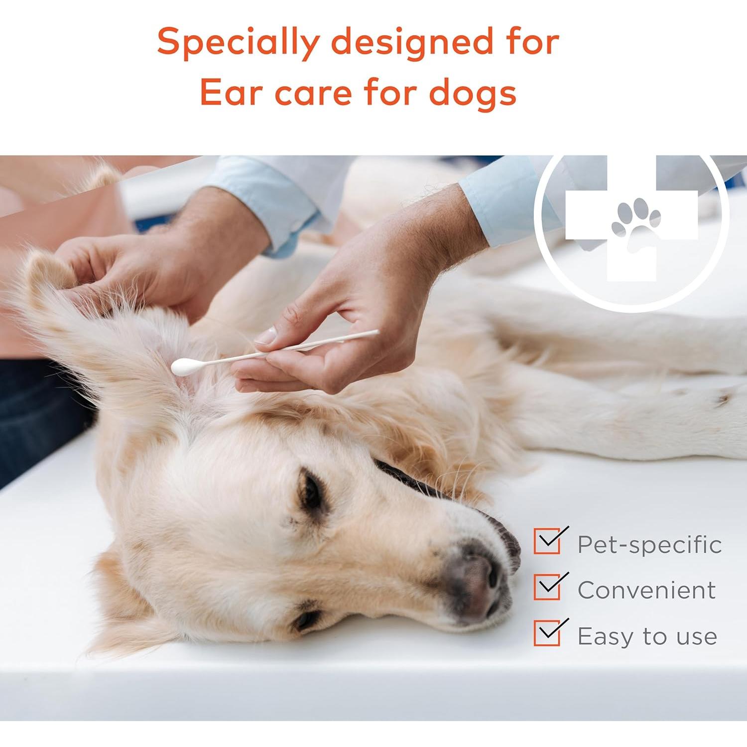 Hisopos de Algodón Extra Grande para Perros y Gatos - 100 Unidades