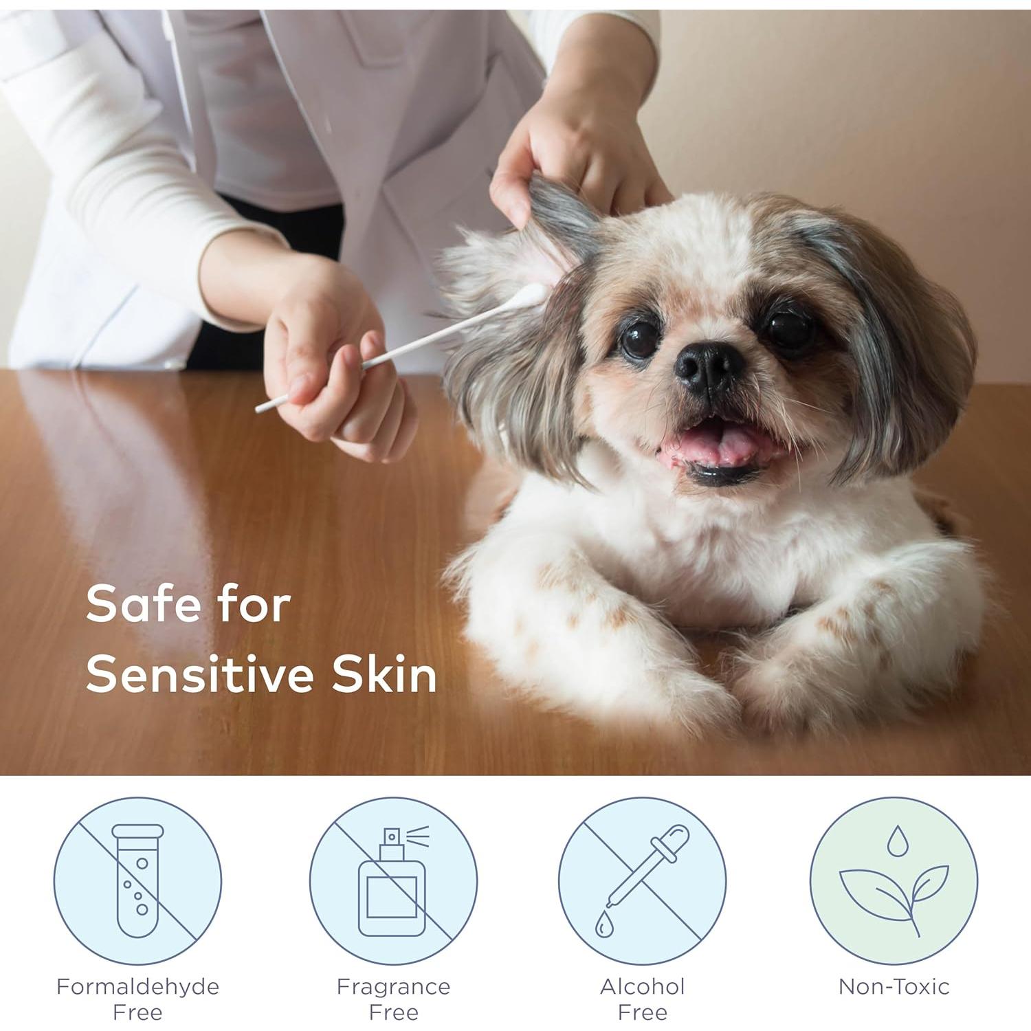 Hisopos de Algodón Extra Grande para Perros y Gatos - 100 Unidades