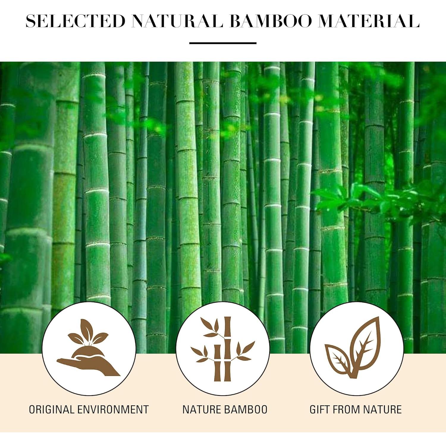 Cepillo de Pelo GAVIVOL de Bambú con Cerdas de Acero Antiestático