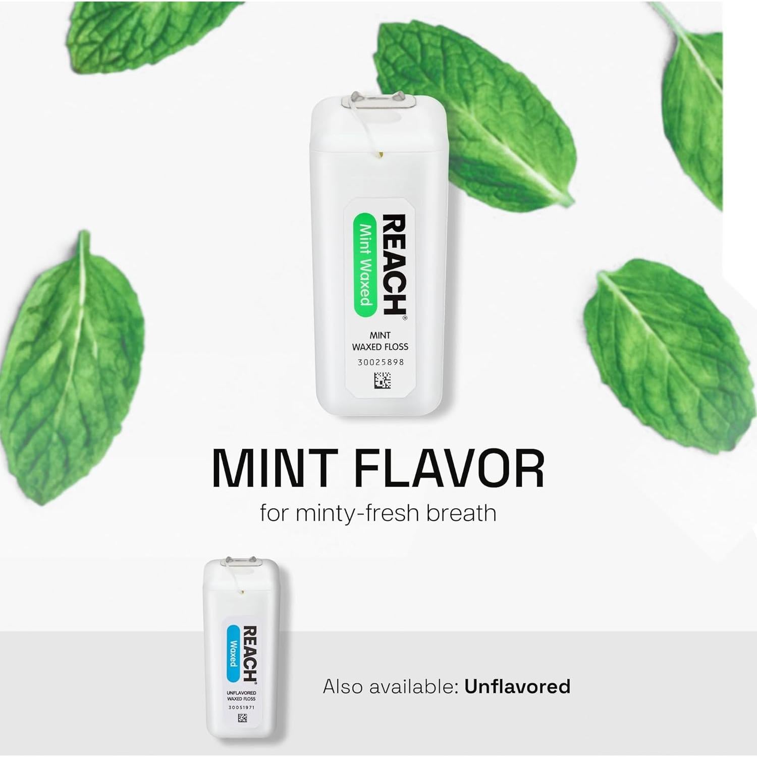 Hilo Dental Cerado REACH Menta 182.88 m Paquete de 6