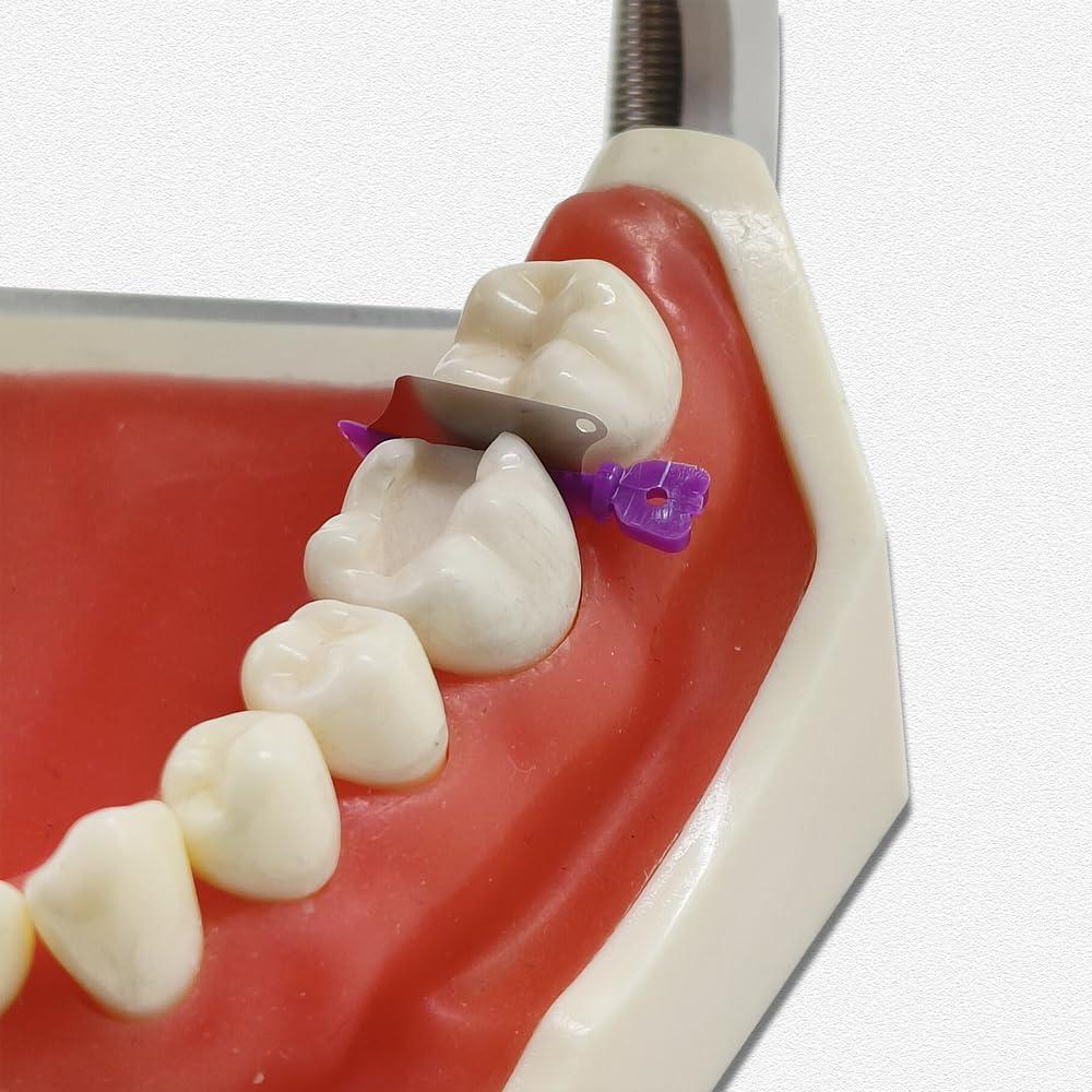 30 Piezas Protector Interproximal Dental Prime con Cuchillo