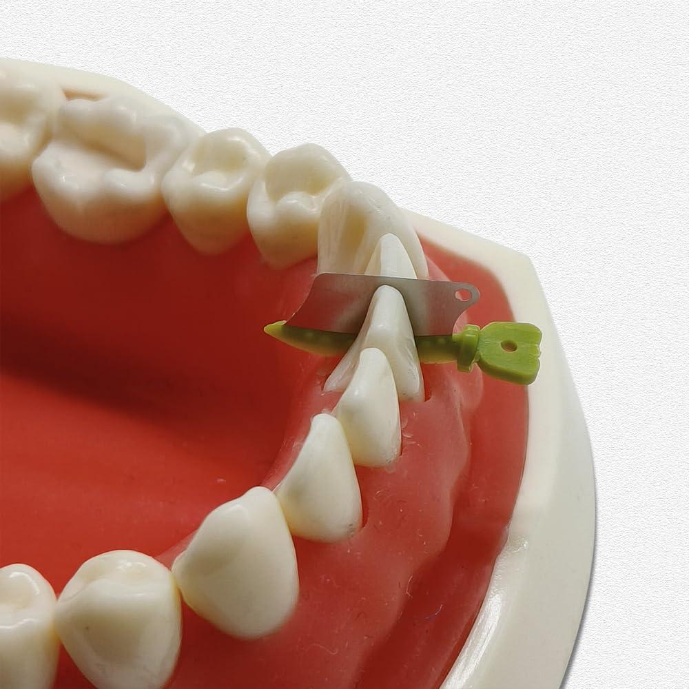 30 Piezas Protector Interproximal Dental Prime con Cuchillo