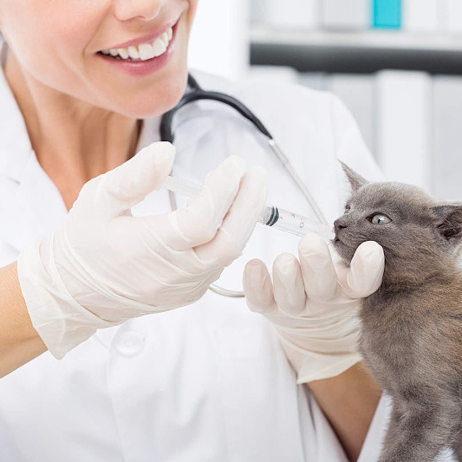 Benvo Paquete de 6 Jeringas Dentales Desechables 12ml Punta Curvada