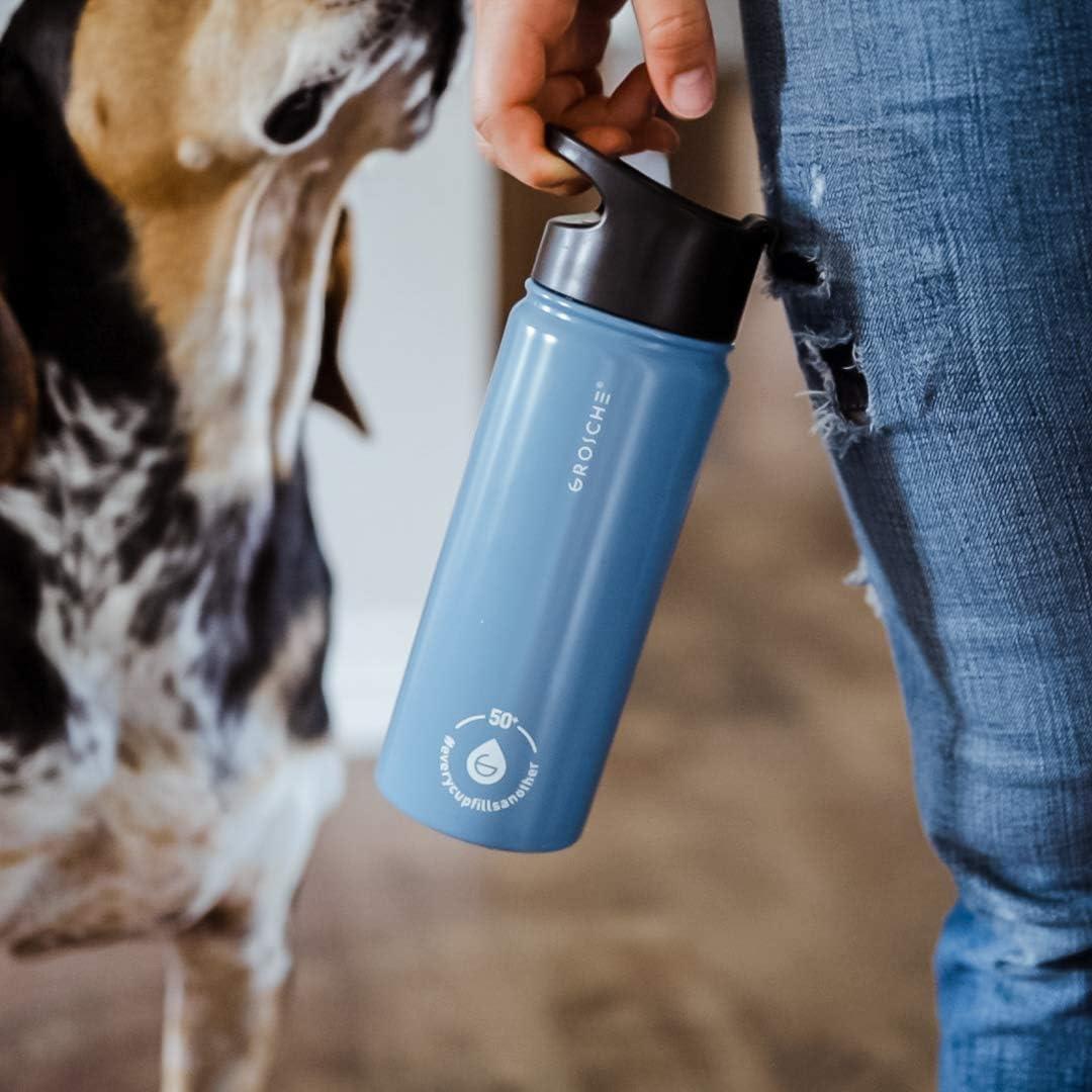 GROSCHE Chicago Stainless Steel Tea Infuser Flask | Beverage Bottle | Hot & Cold Drinks | Loose Leaf Tea Infuser | Travel Convenience Water Bottle | 16 fl oz, Blue