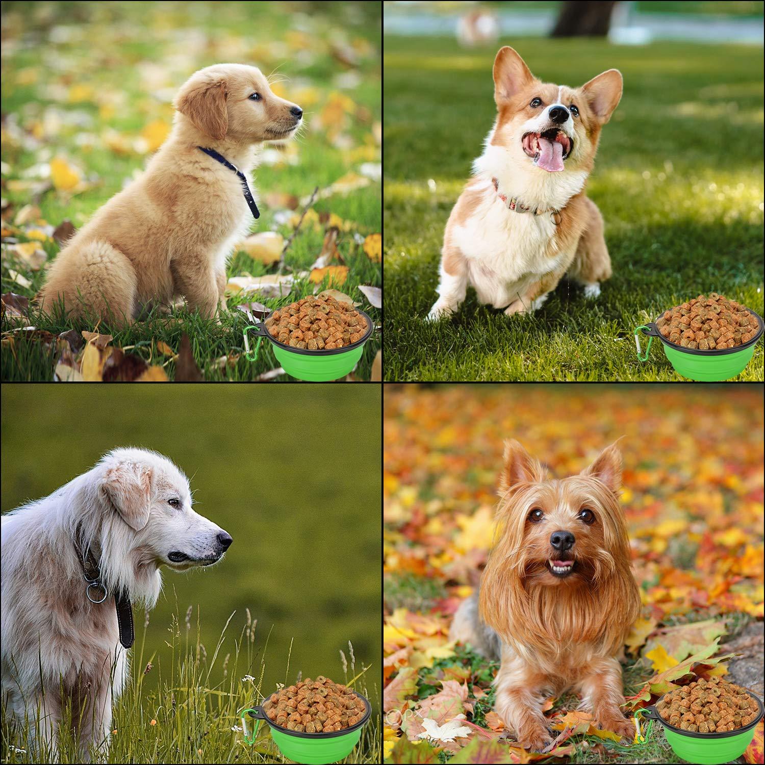 Paquete de 2 tazones colapsables Emoly para perros y gatos 355 ml