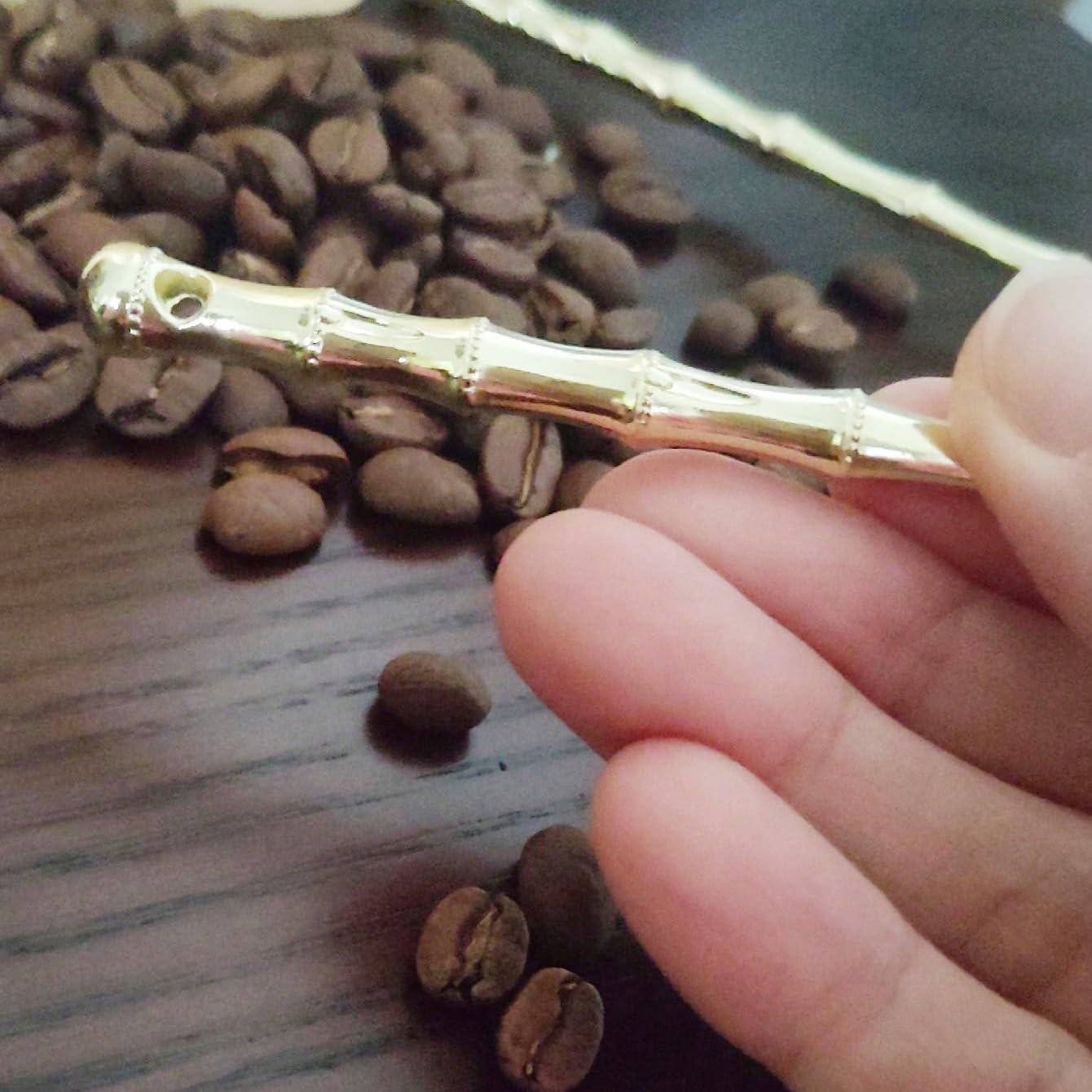 Set de Cucharas Medidoras de Mango Largo Xusmyzm - Dorado Metal