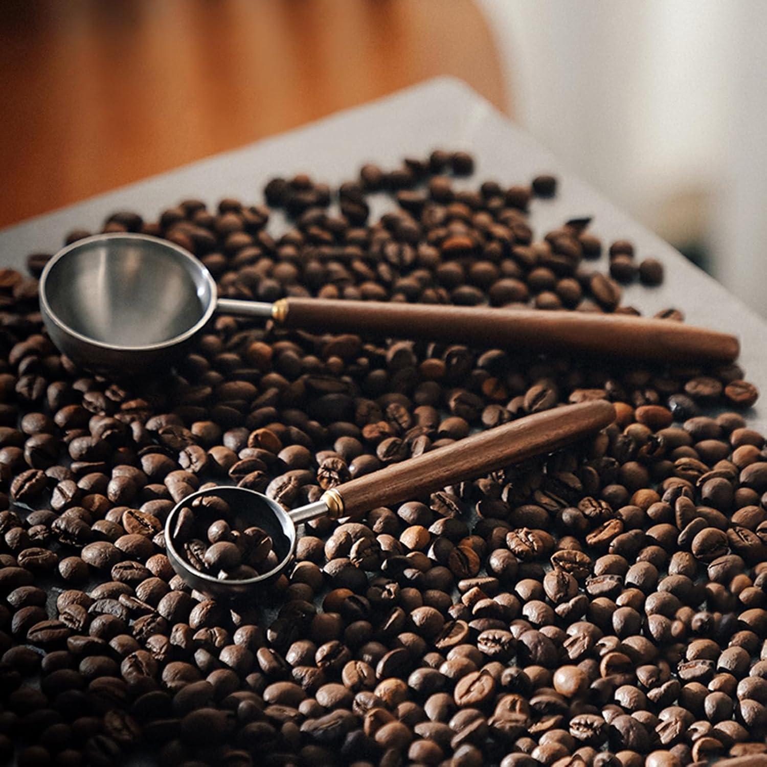 Cuchara de Café Gonzone Acero Inoxidable con Mango de Nogal 5g