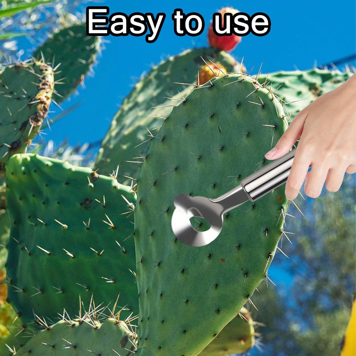 2 Peladores de Cactus Acero Inoxidable LLMSIX 17cm Mango Ergonómico