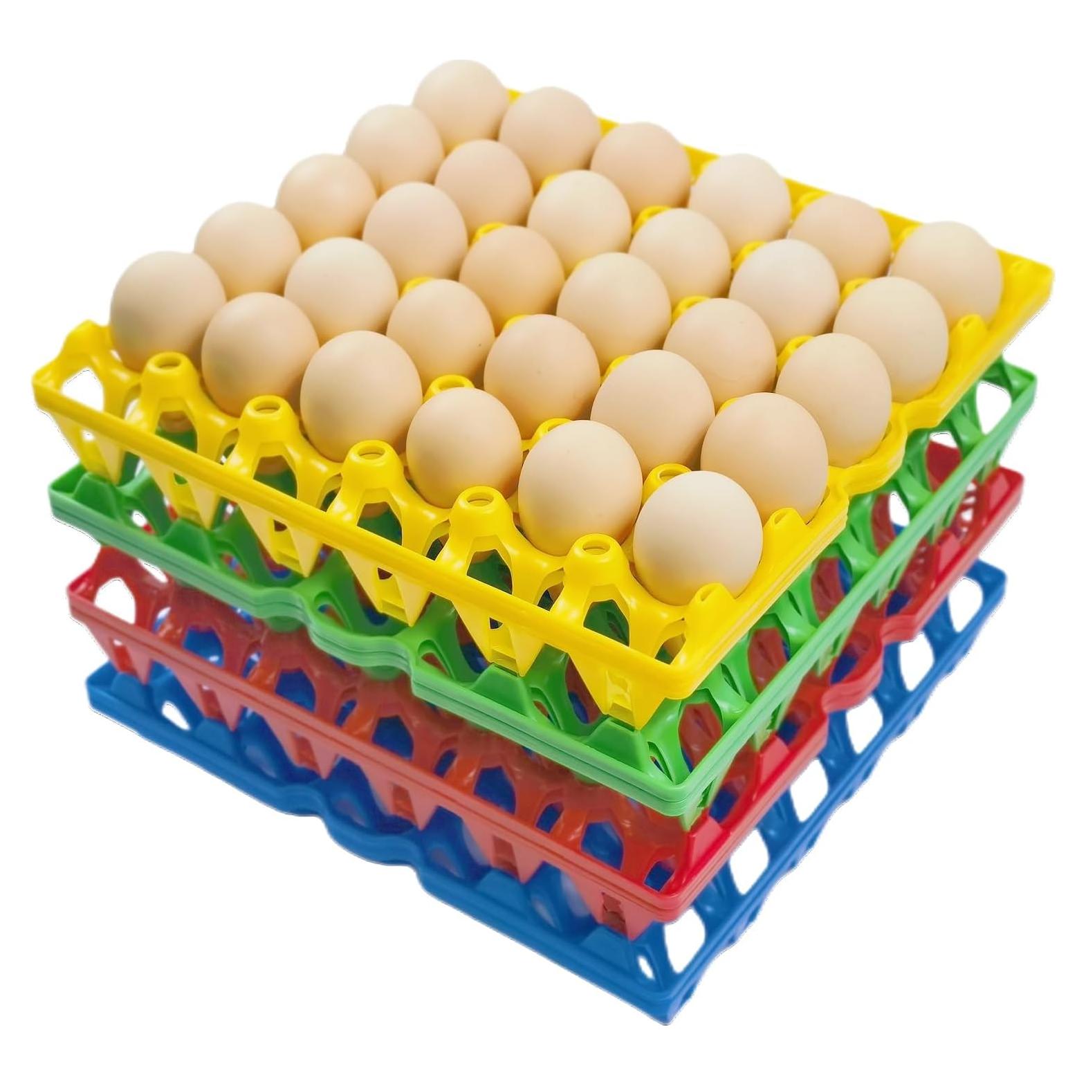 Paquete de 8 bandejas de plástico para 30 huevos George Garden