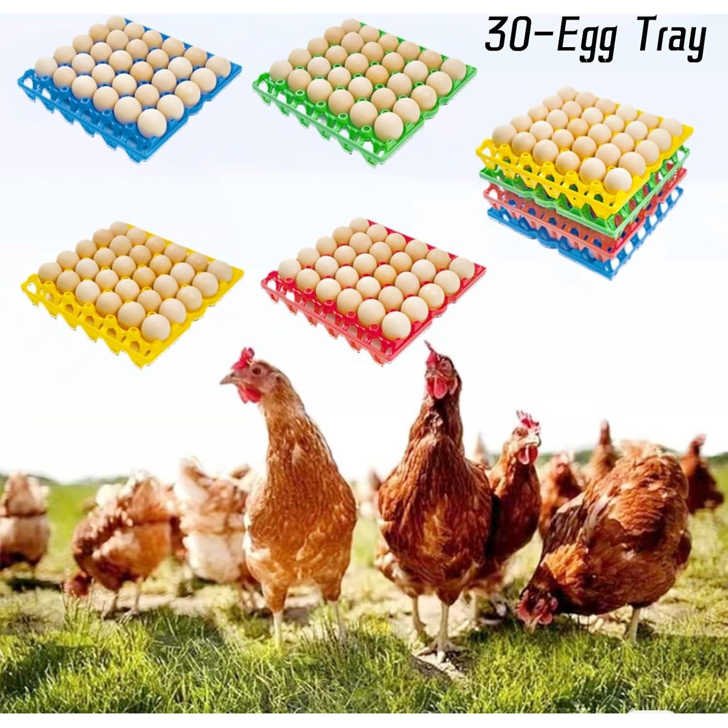 Paquete de 8 bandejas de plástico para 30 huevos George Garden