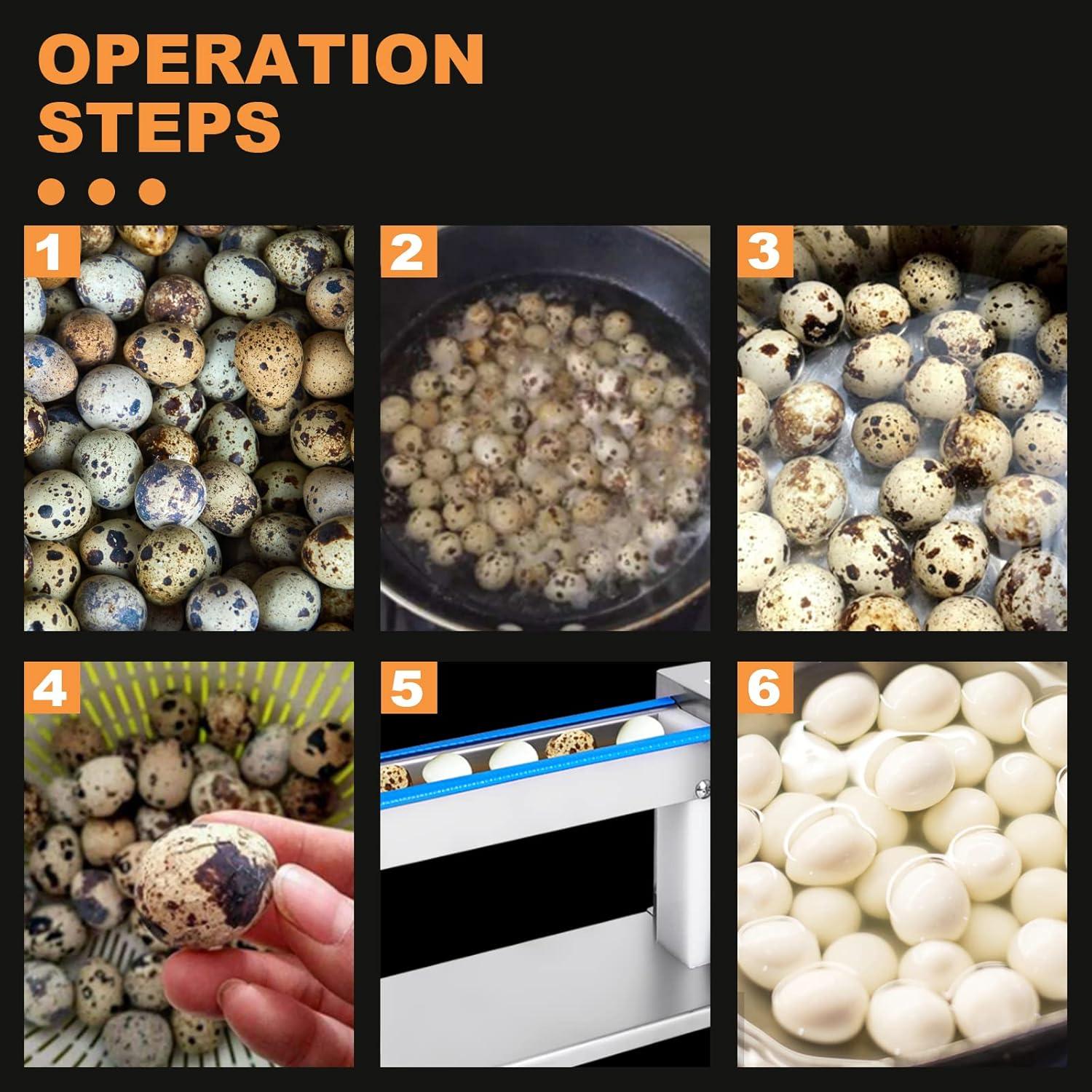 Pelador Manual de Cáscara de Huevo de Codorniz JIAWANSHUN