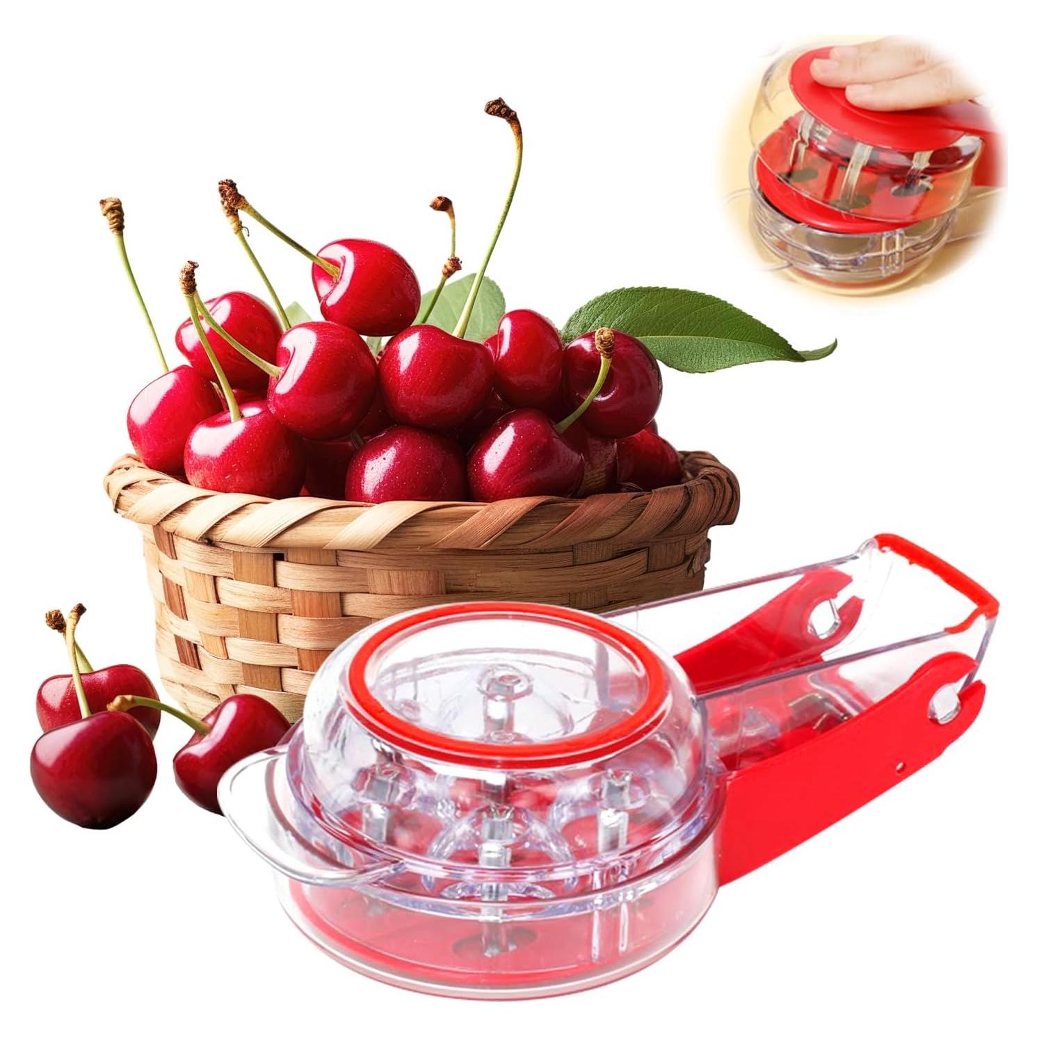 Deshuesador de Cereza JJYHEHOT Acero Inoxidable 6 Agujeros