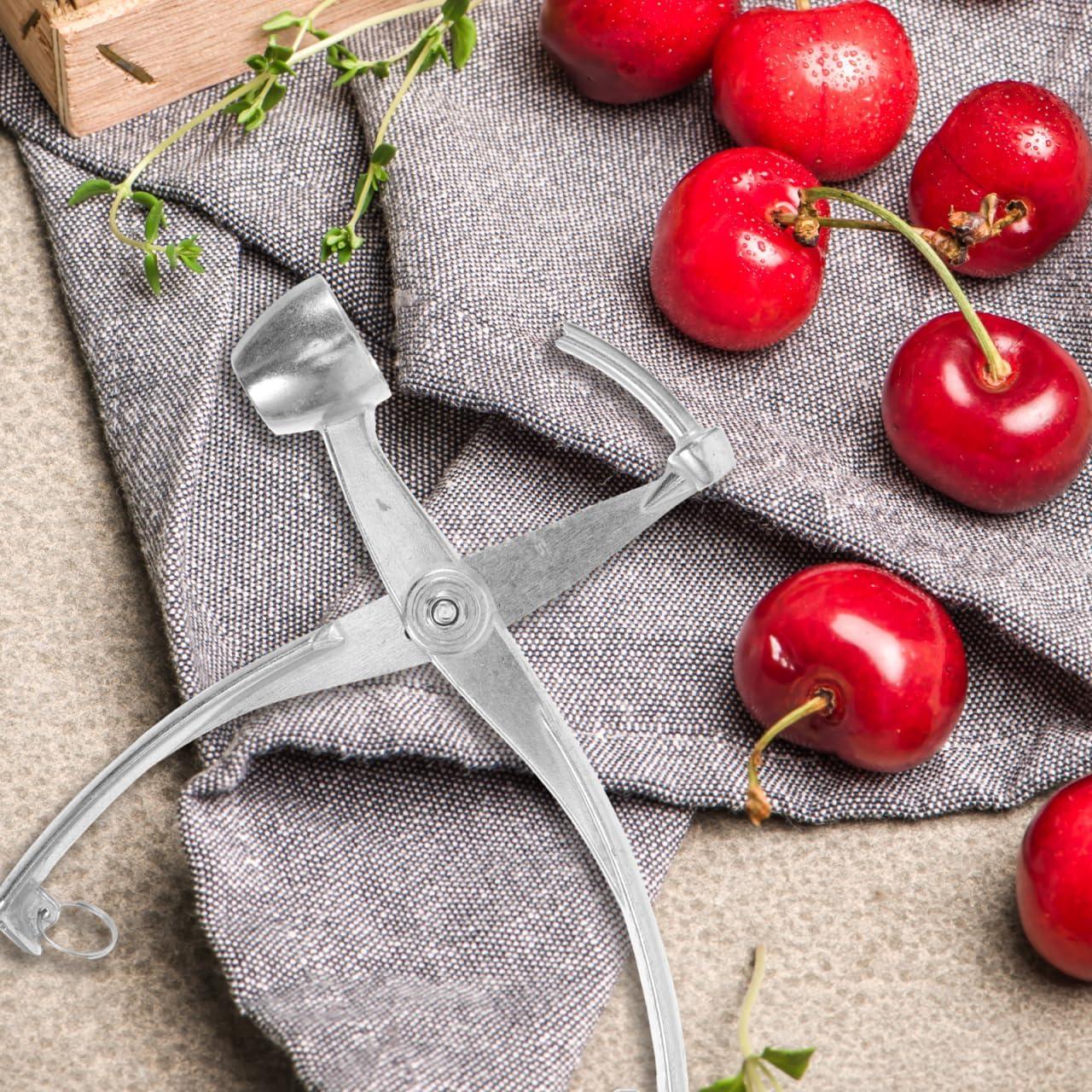 Removedor de Huesos de Cereza y Aceituna Veemoon - Metal