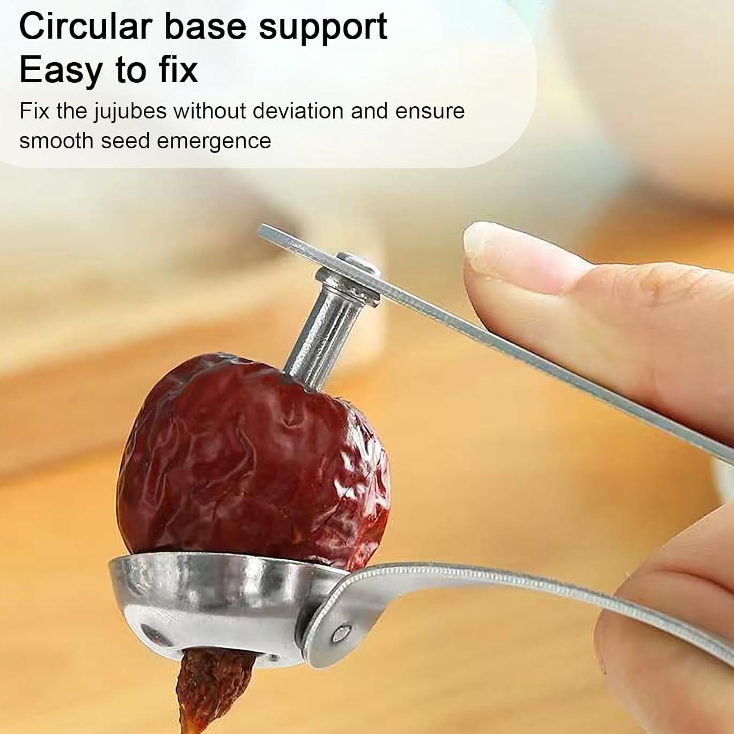 Deshuesadora de Cerezas de Acero Inoxidable 5 Piezas