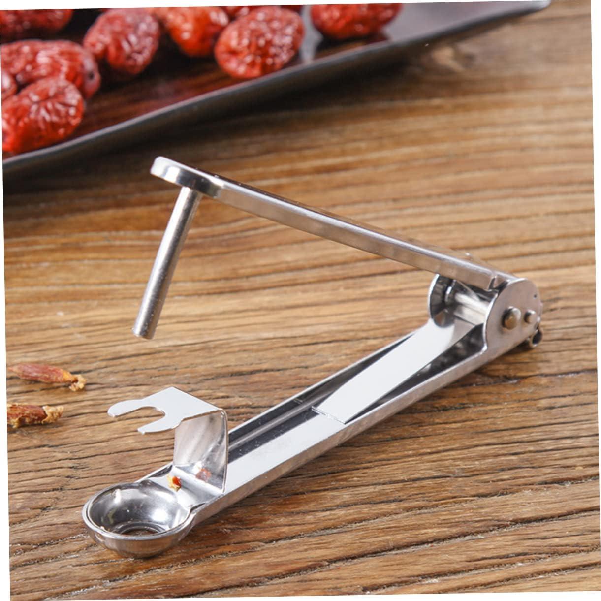 Removedor de Huesos de Dátil HOMSFOU Acero Inoxidable 14.5 cm