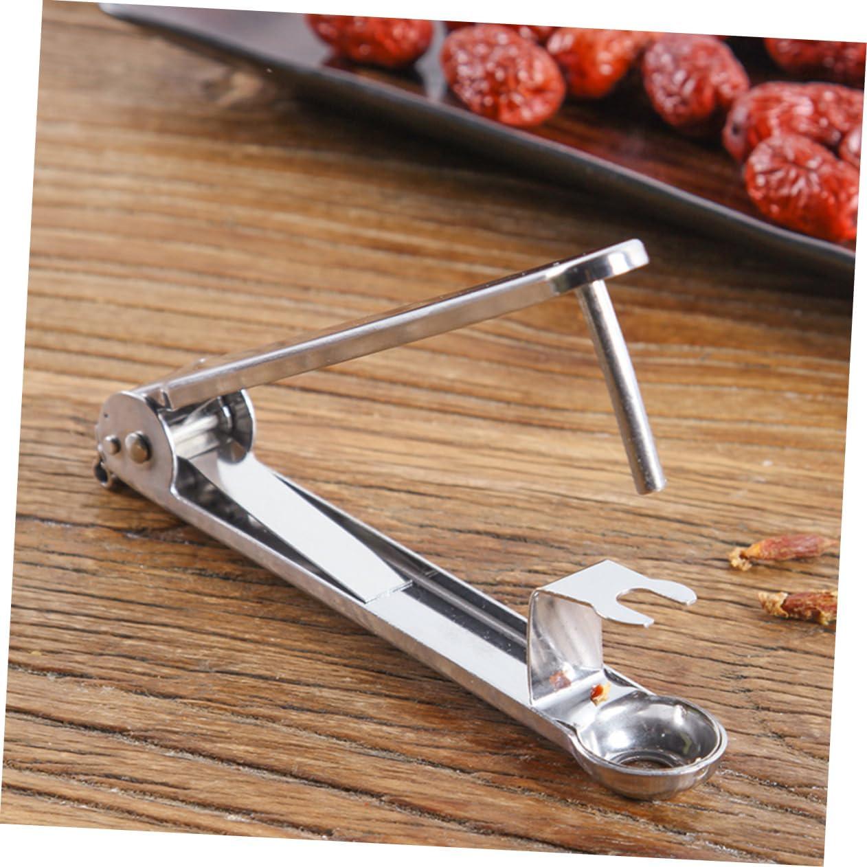 Removedor de Huesos de Dátil HOMSFOU Acero Inoxidable 14.5 cm