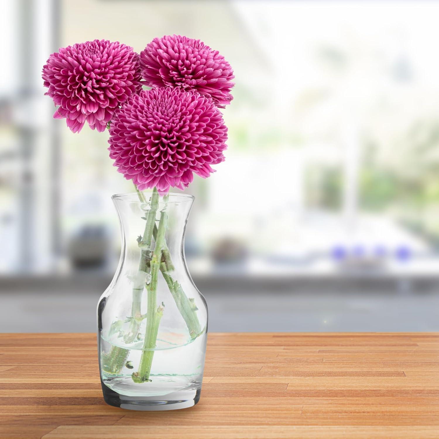 Jarras de Vino Mini Cornucopia Brands - Paquete de 6, 200ml