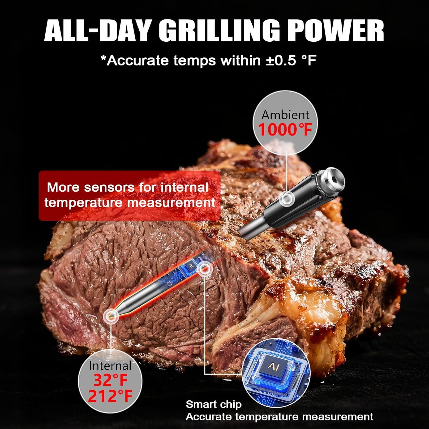 Termómetro Digital Inalámbrico KylosTherm JX369 para Carne