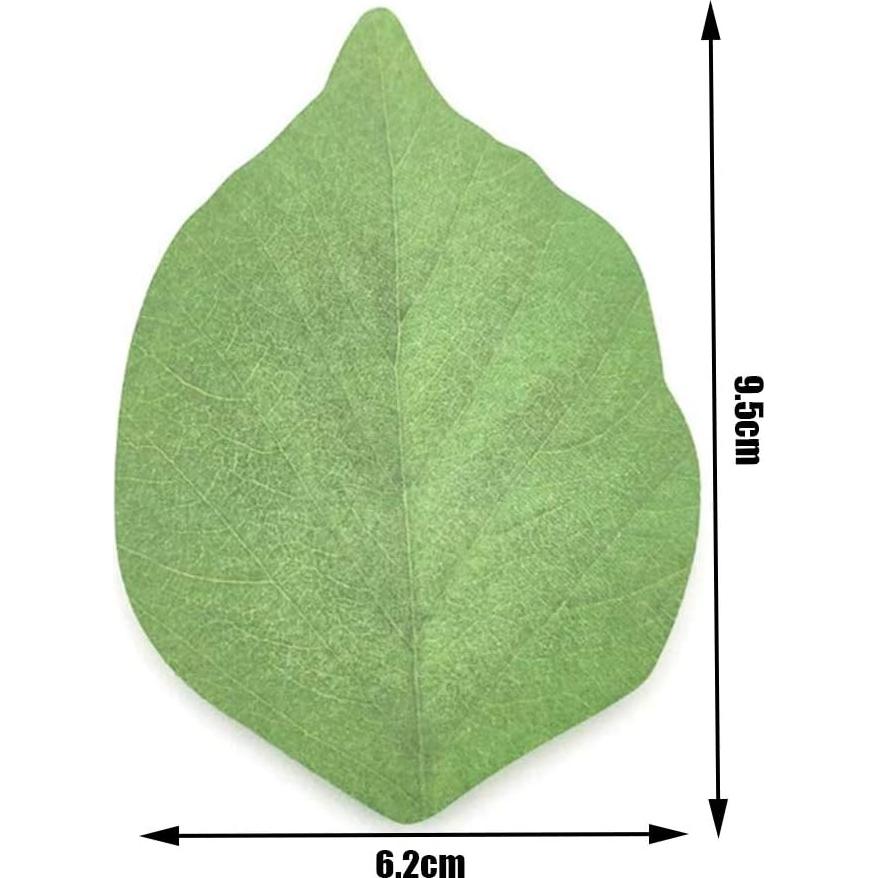 5 Paquetes de Notas Adhesivas Hoja Verde Tuklye 9.5x6.2cm