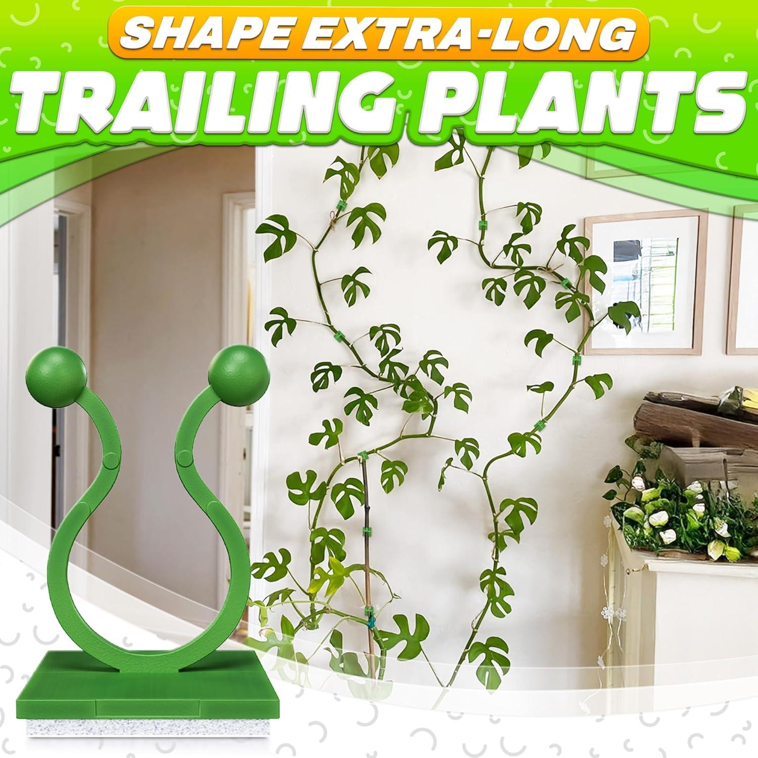 Clips de Pared para Plantas Trepadoras DIMROM - 110 Pcs