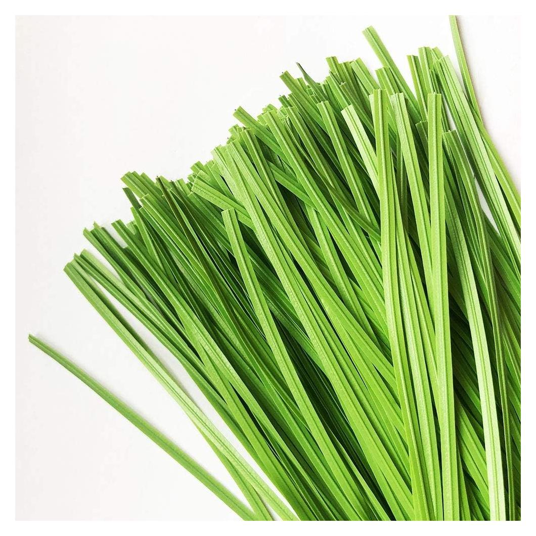 Ataduras de Jardín VIMOA 200 pcs 15 cm Verde para Plantas