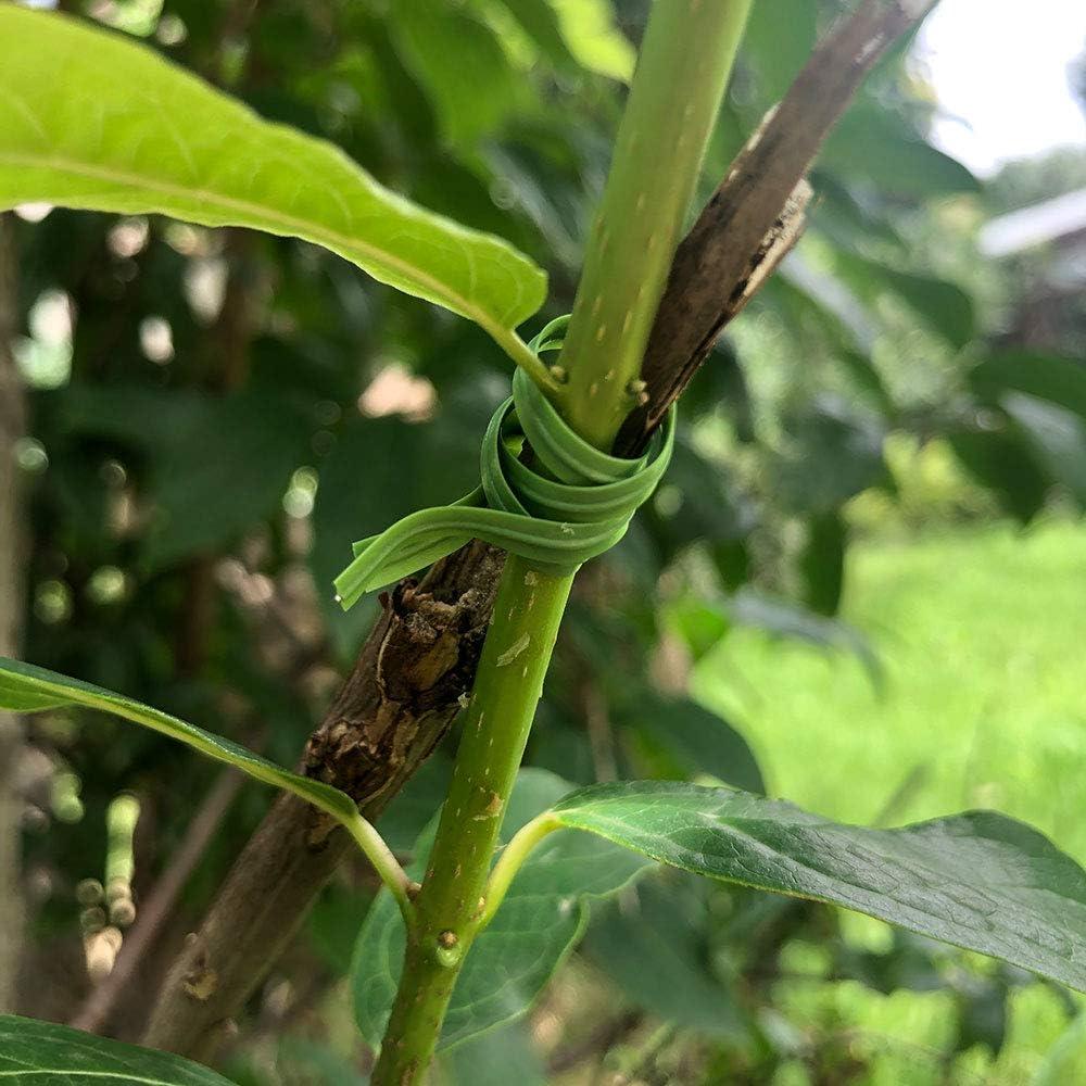 Ataduras de Jardín VIMOA 200 pcs 15 cm Verde para Plantas