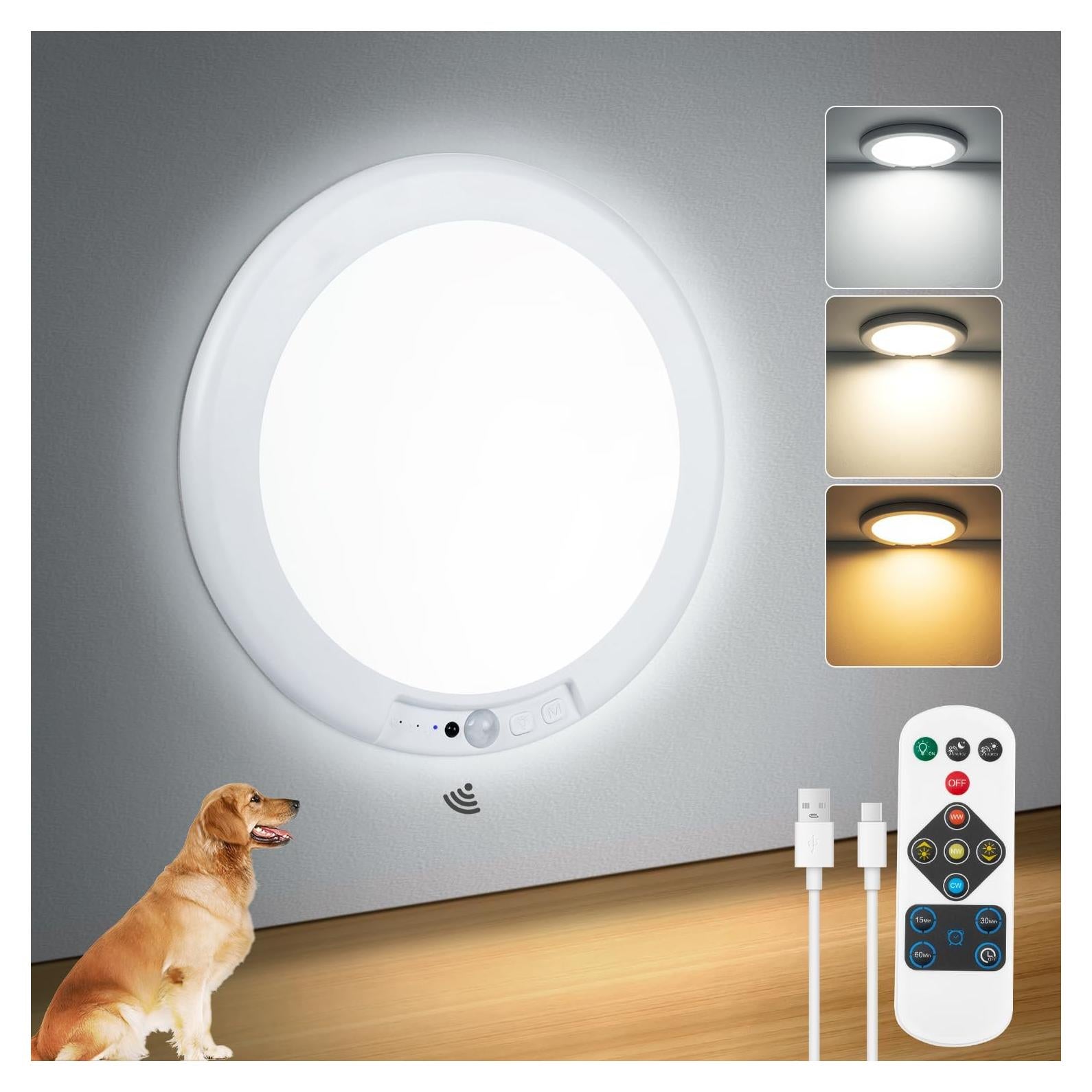 Luz de Techo Recargable Aggforbl 19cm con Control Remoto y Sensor