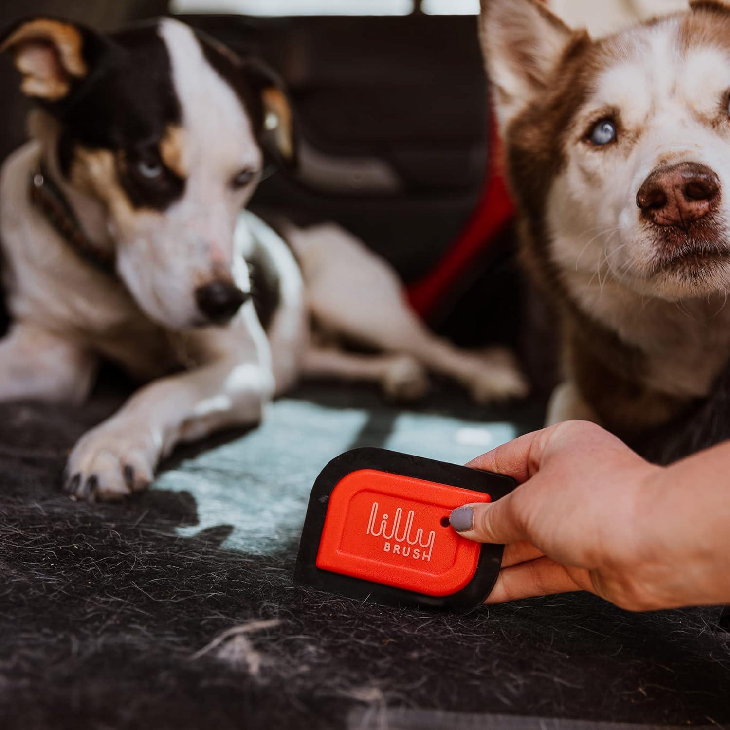 Lilly Brush Mini Removedor de Pelo de Mascotas 7.6cm