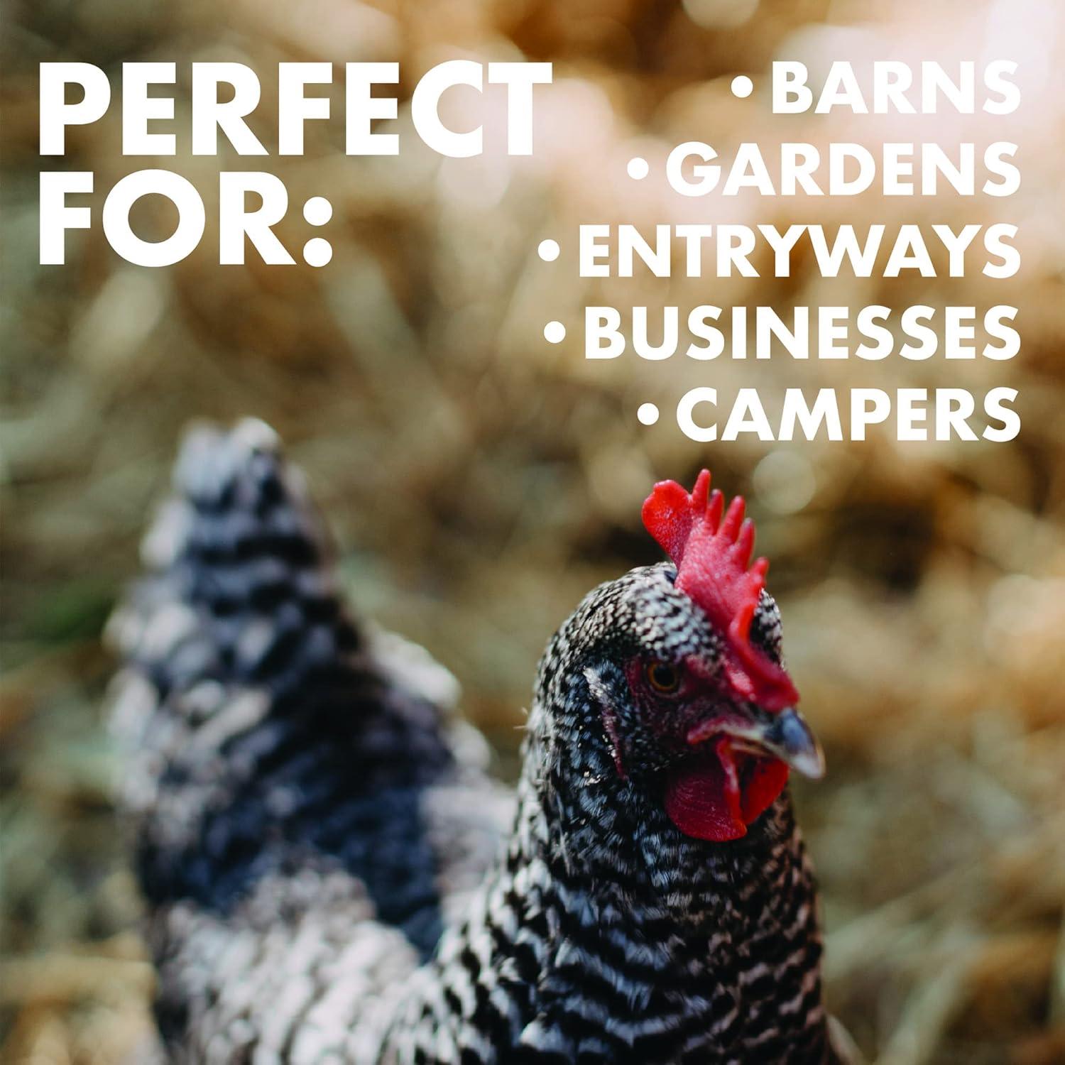 Limpiador de Botas JobSite Extra Ancho - Cepillo Industrial