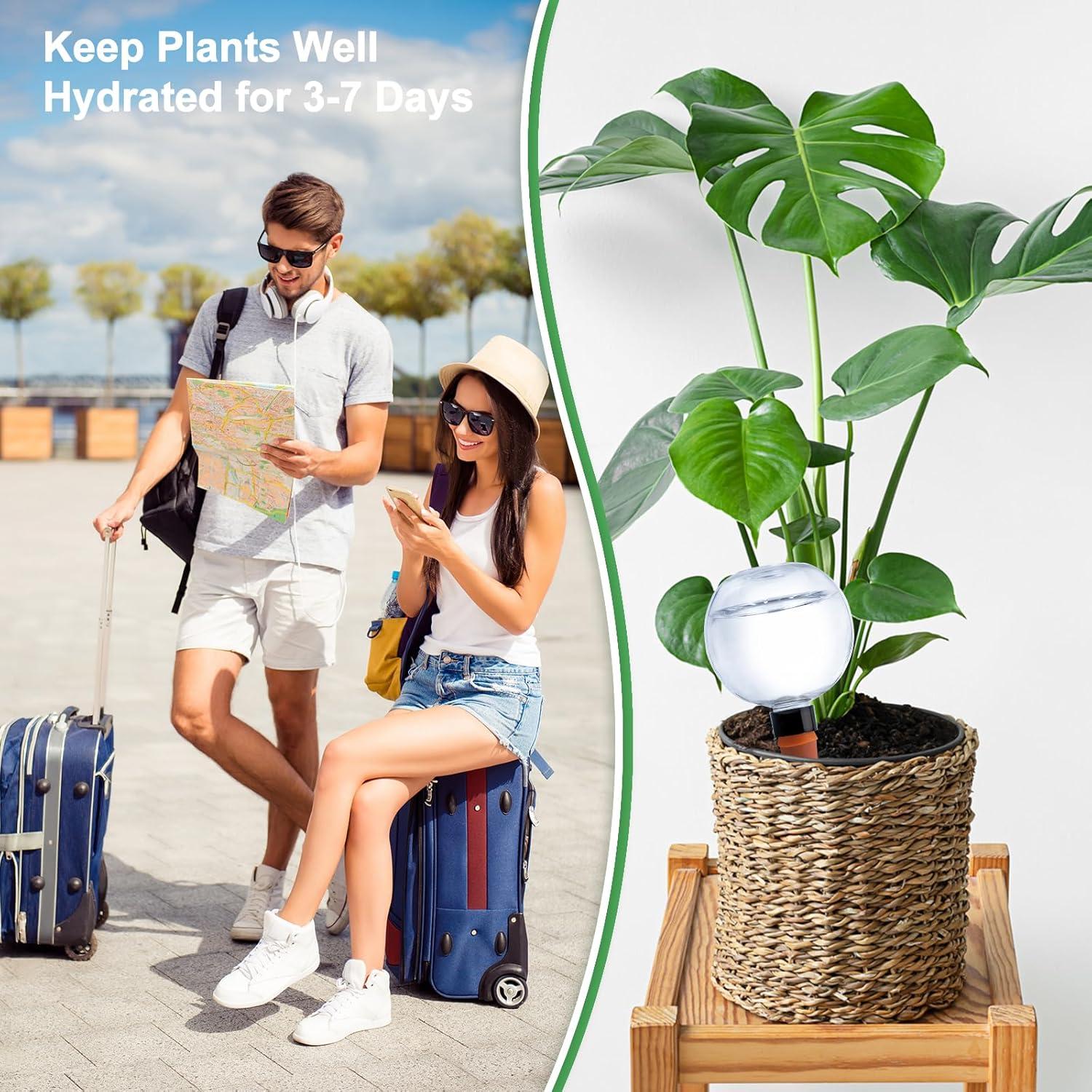 2 Esferas de Riego Automático Ansberta 17oz para Plantas