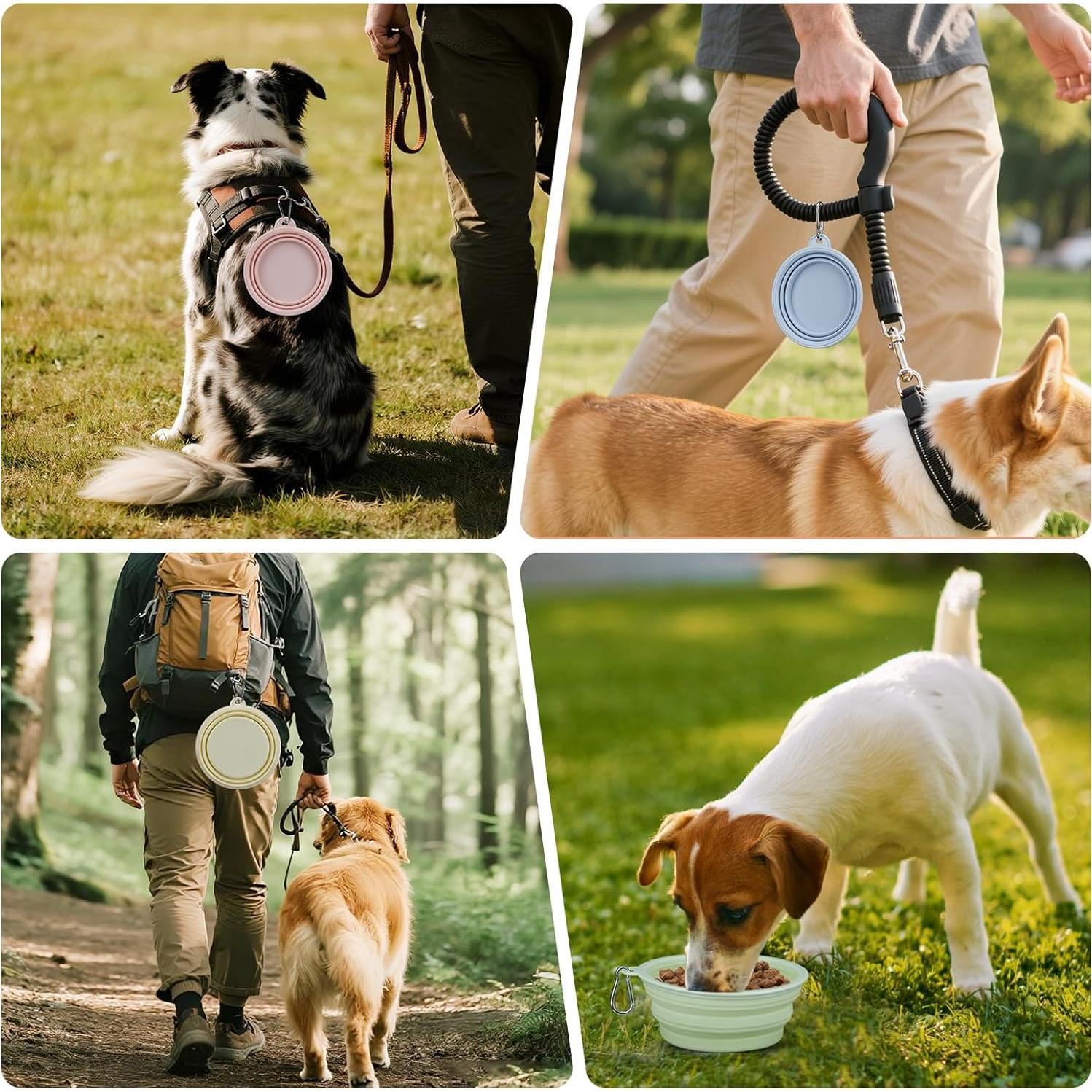 Tazones Colapsables para Perros LeeRound, Paquete de 2, 350ml