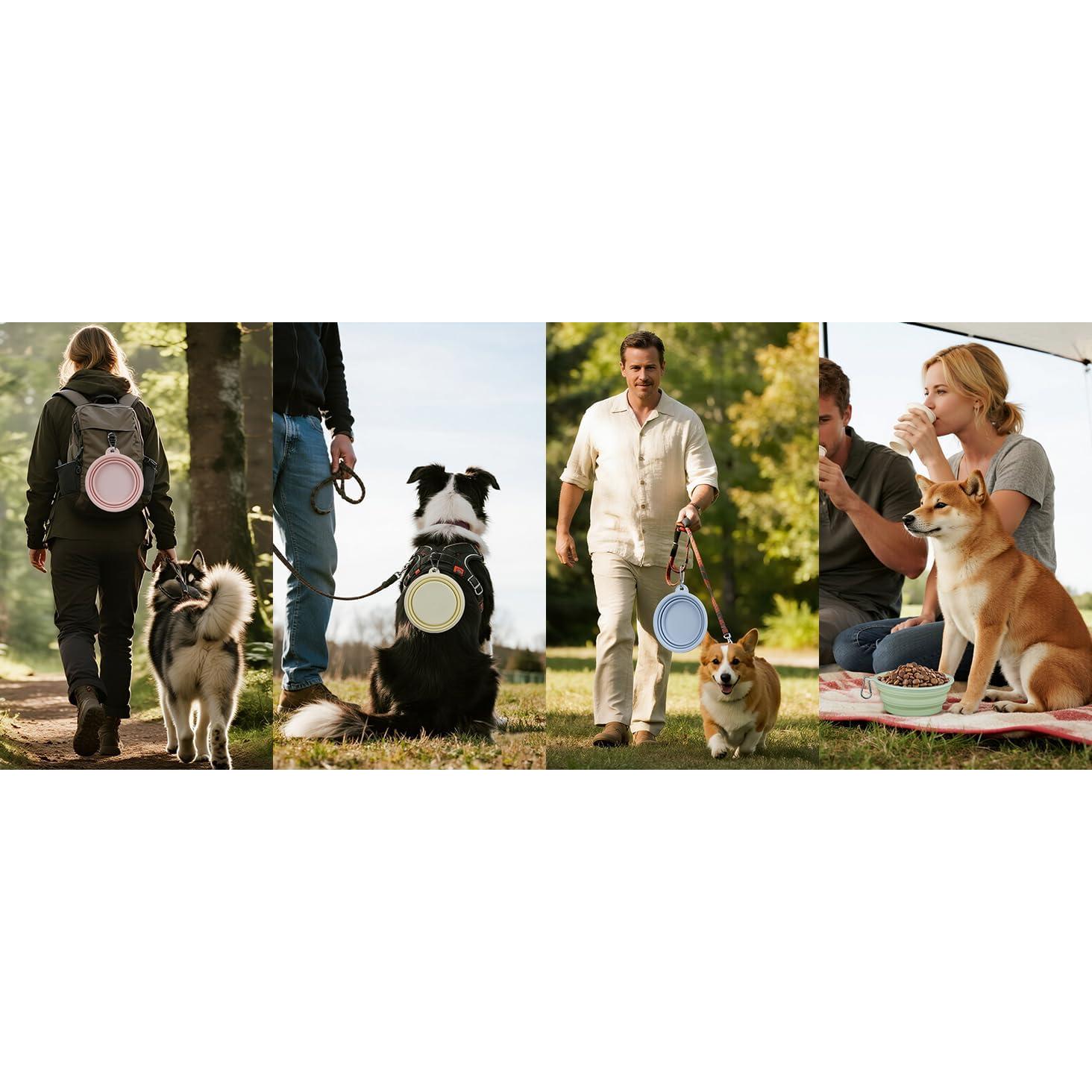 Tazones Colapsables para Perros LeeRound, Paquete de 2, 350ml